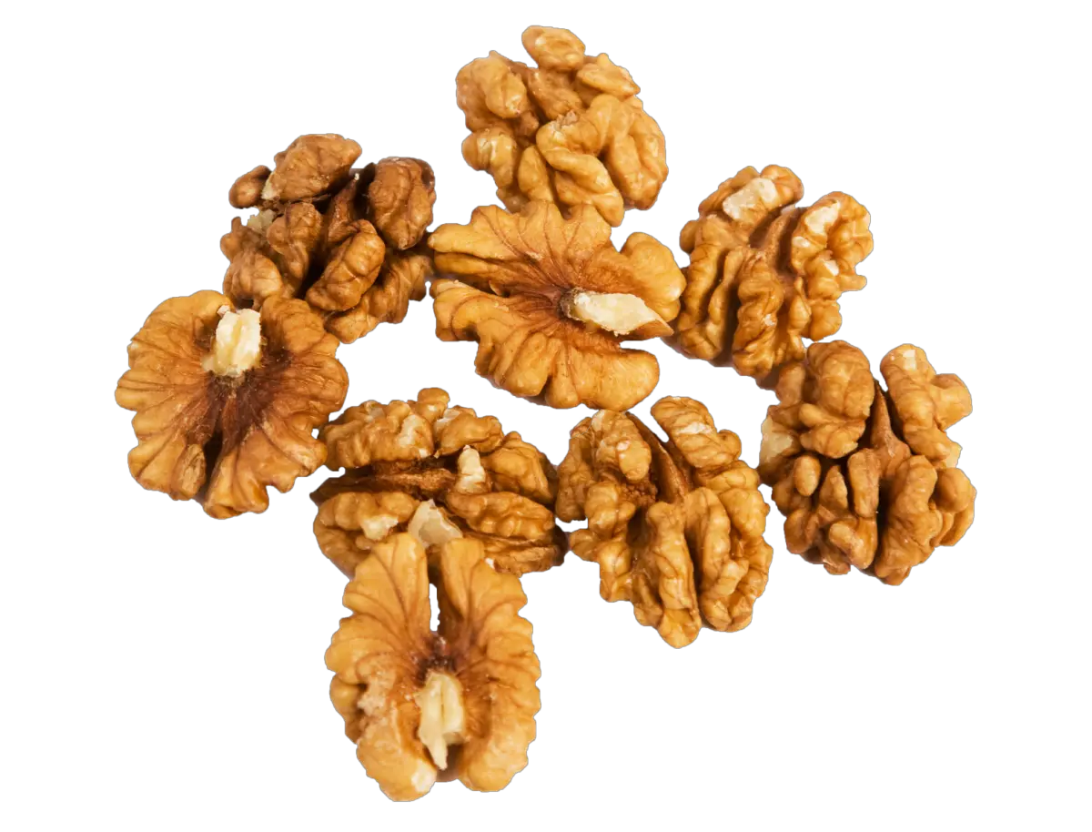 Walnut PNG