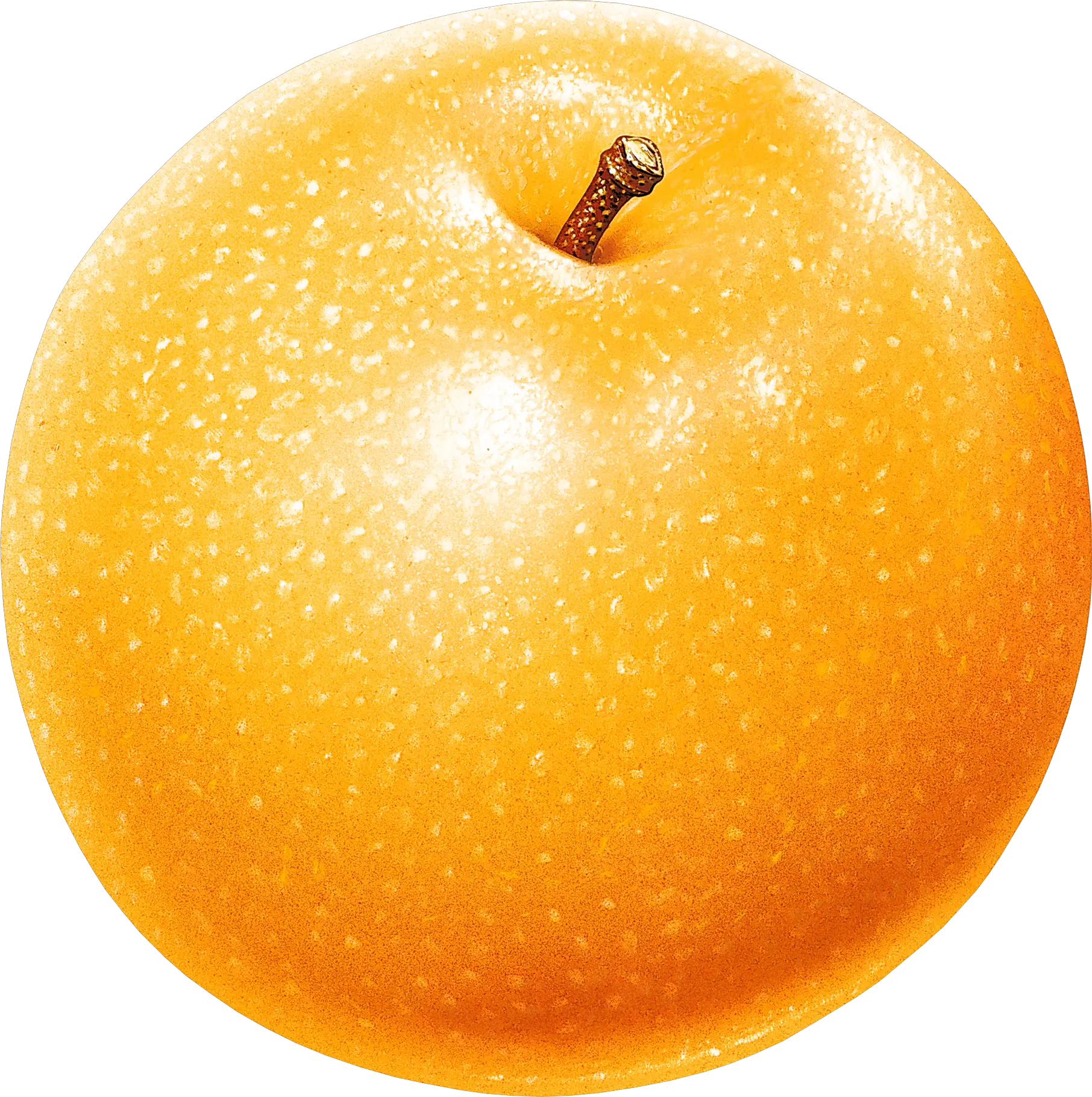 Apple PNG