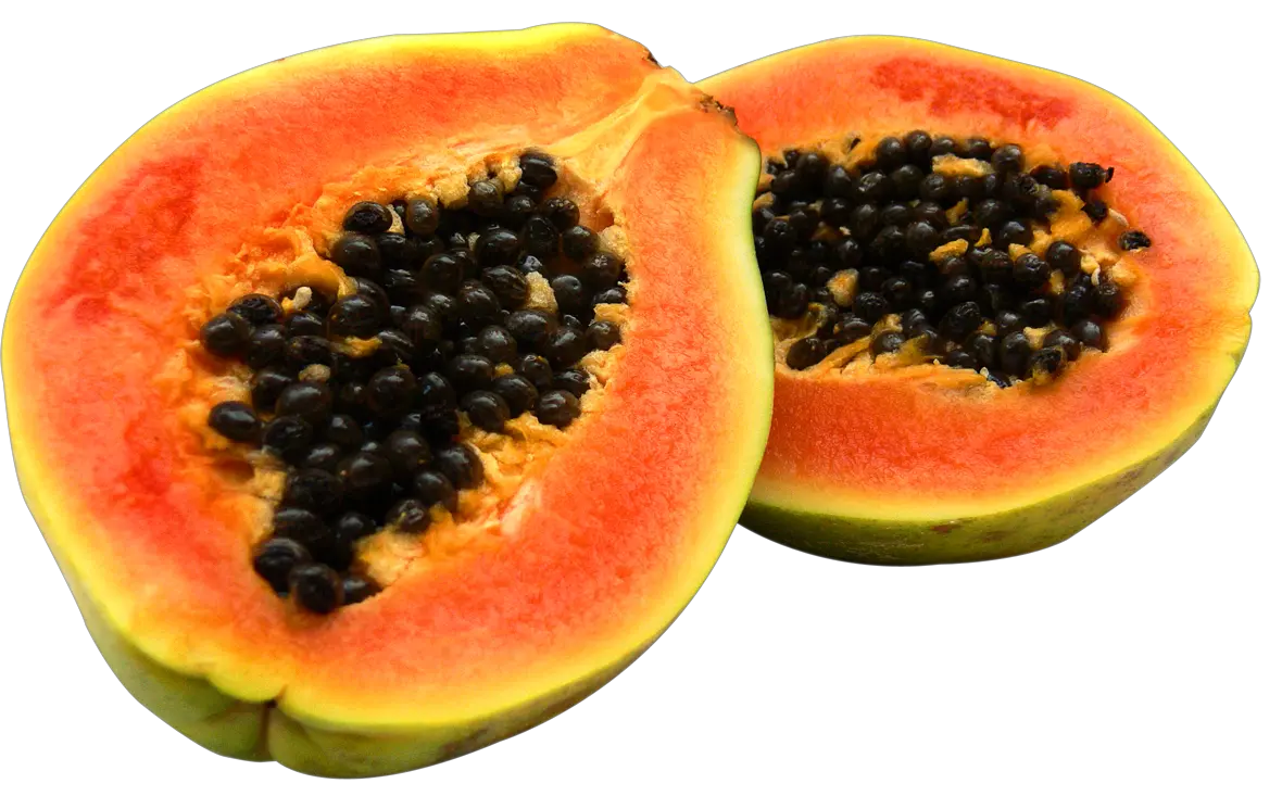 Papaya PNG