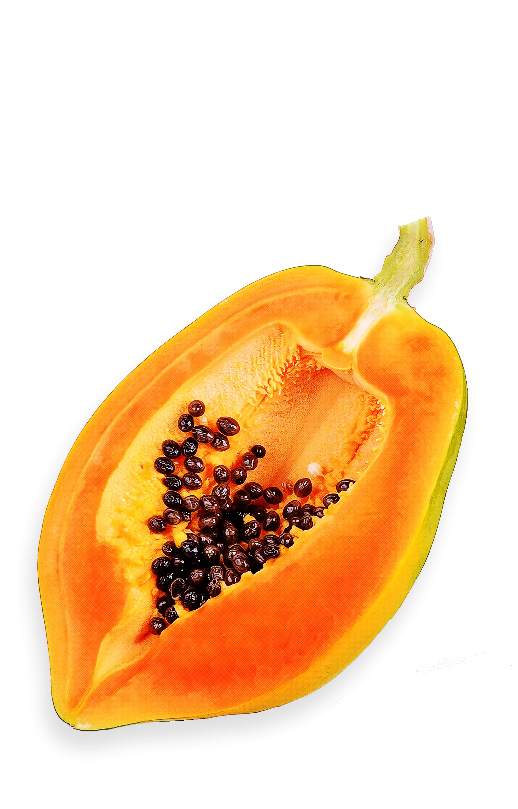 Papaya PNG