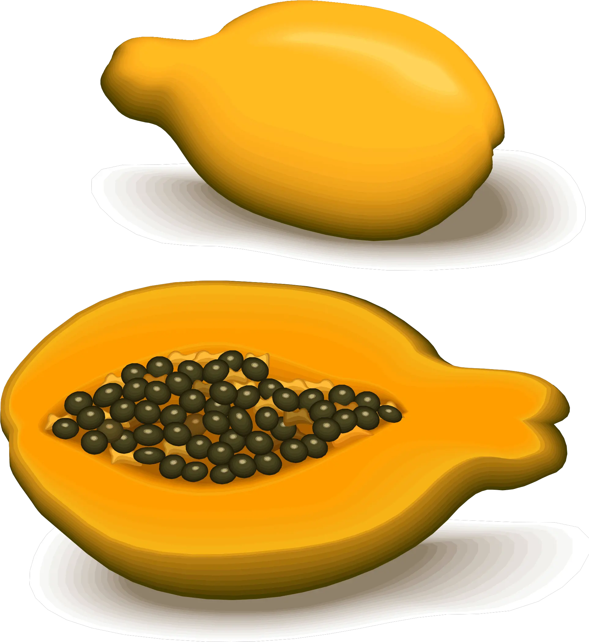 Papaya PNG