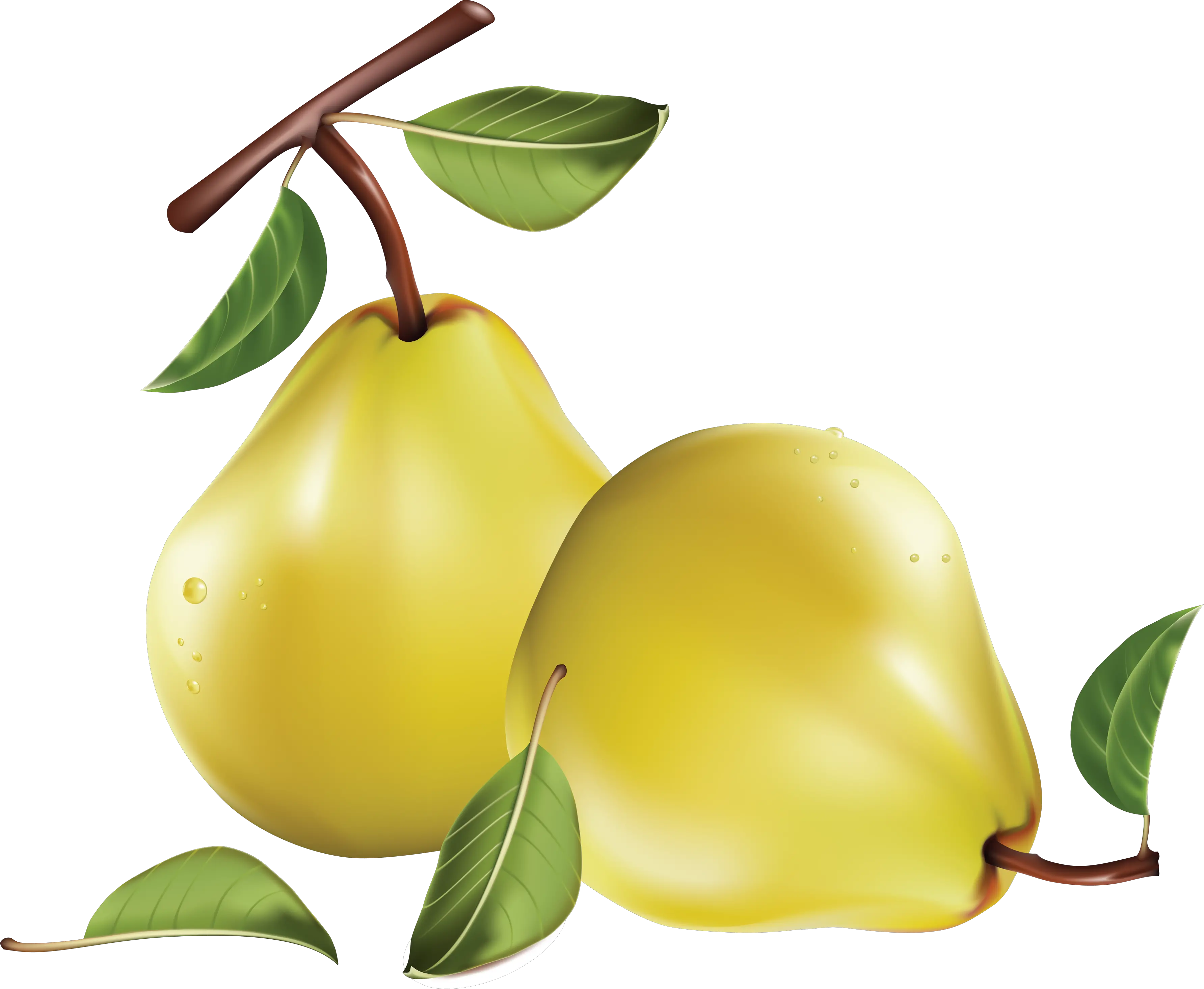 Pear PNG image