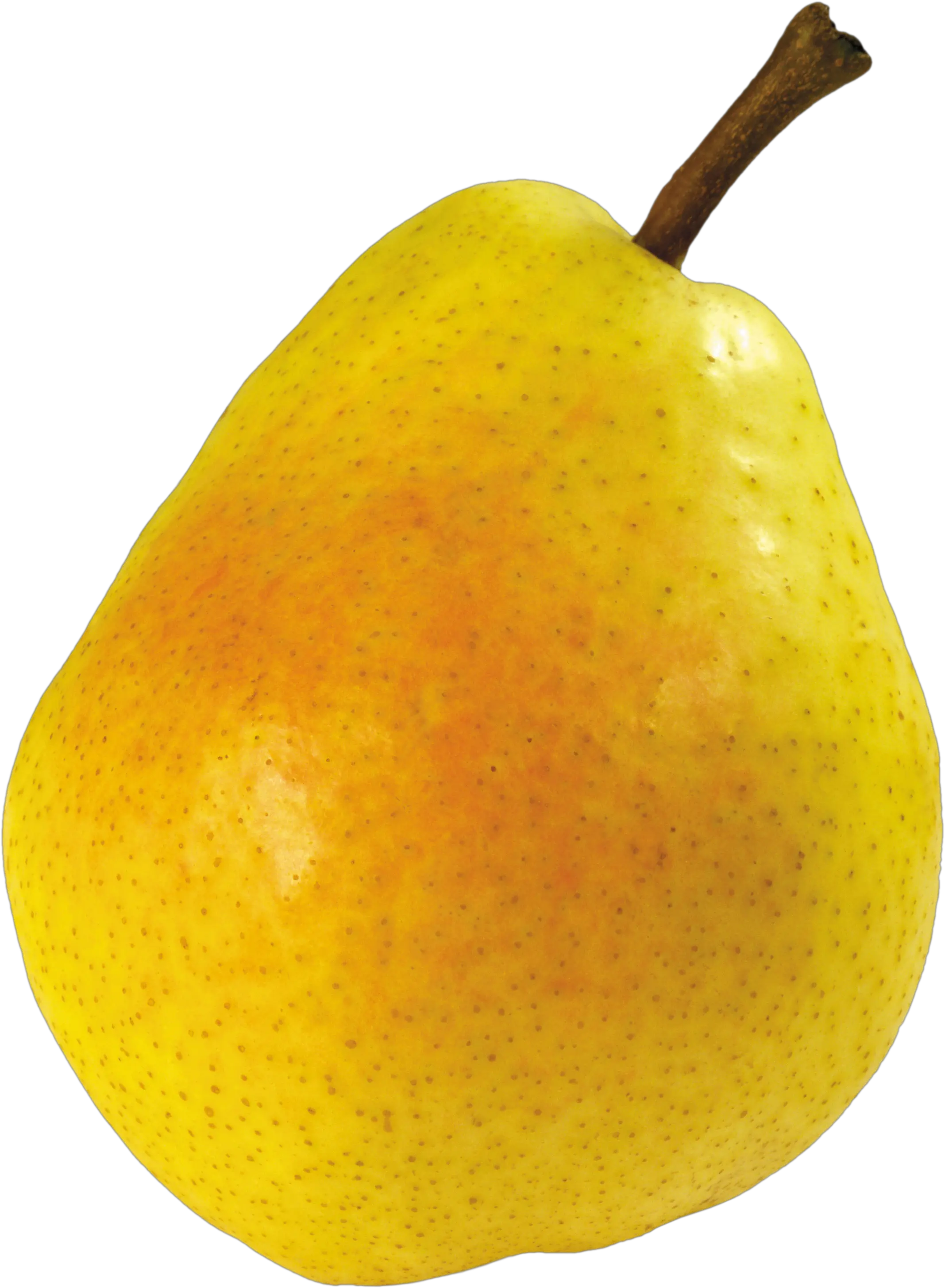 Ripe pear PNG image