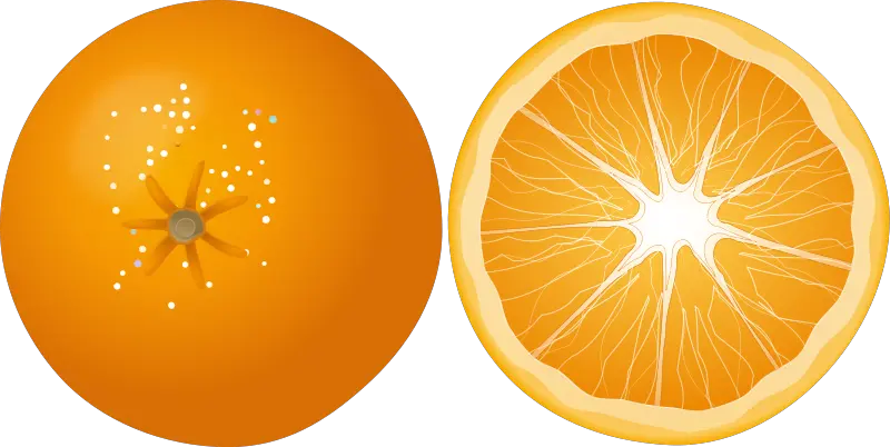 Orange PNG image