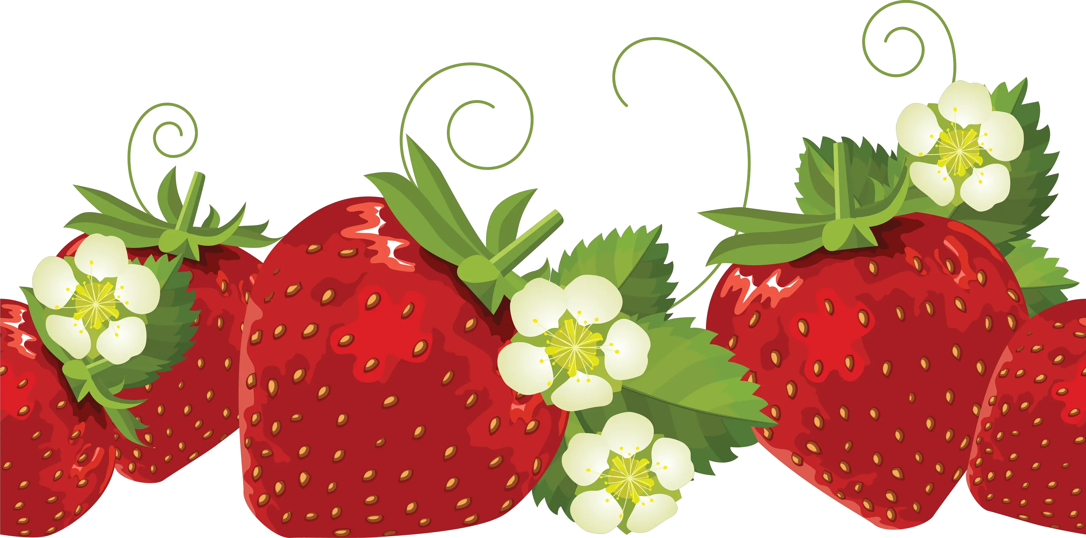 Strawberries PNG