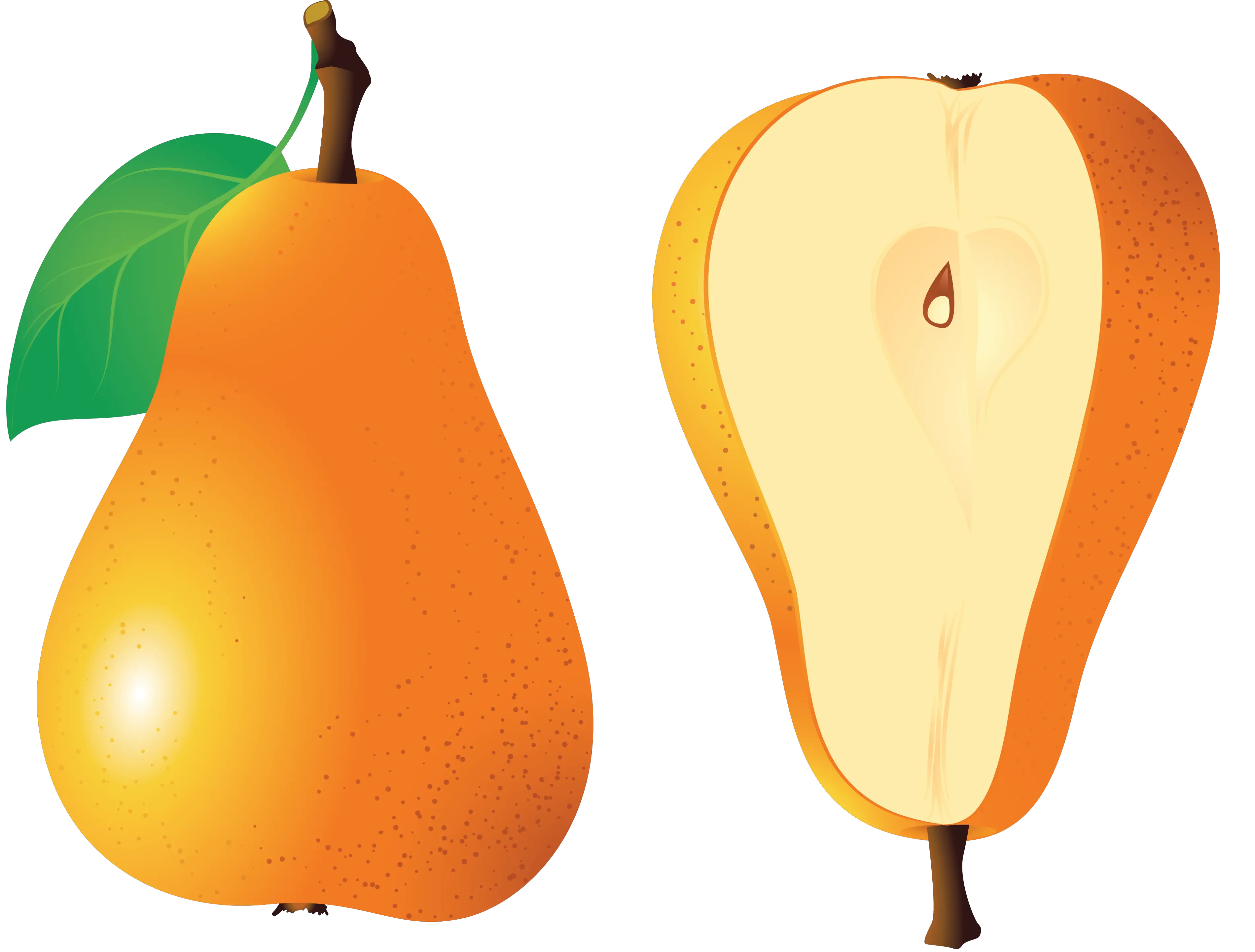 Pear PNG image