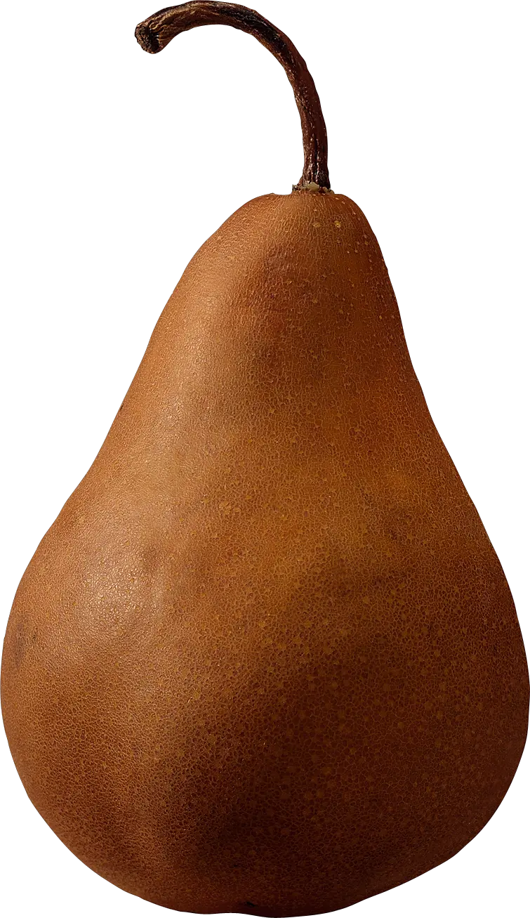Brown pear PNG image