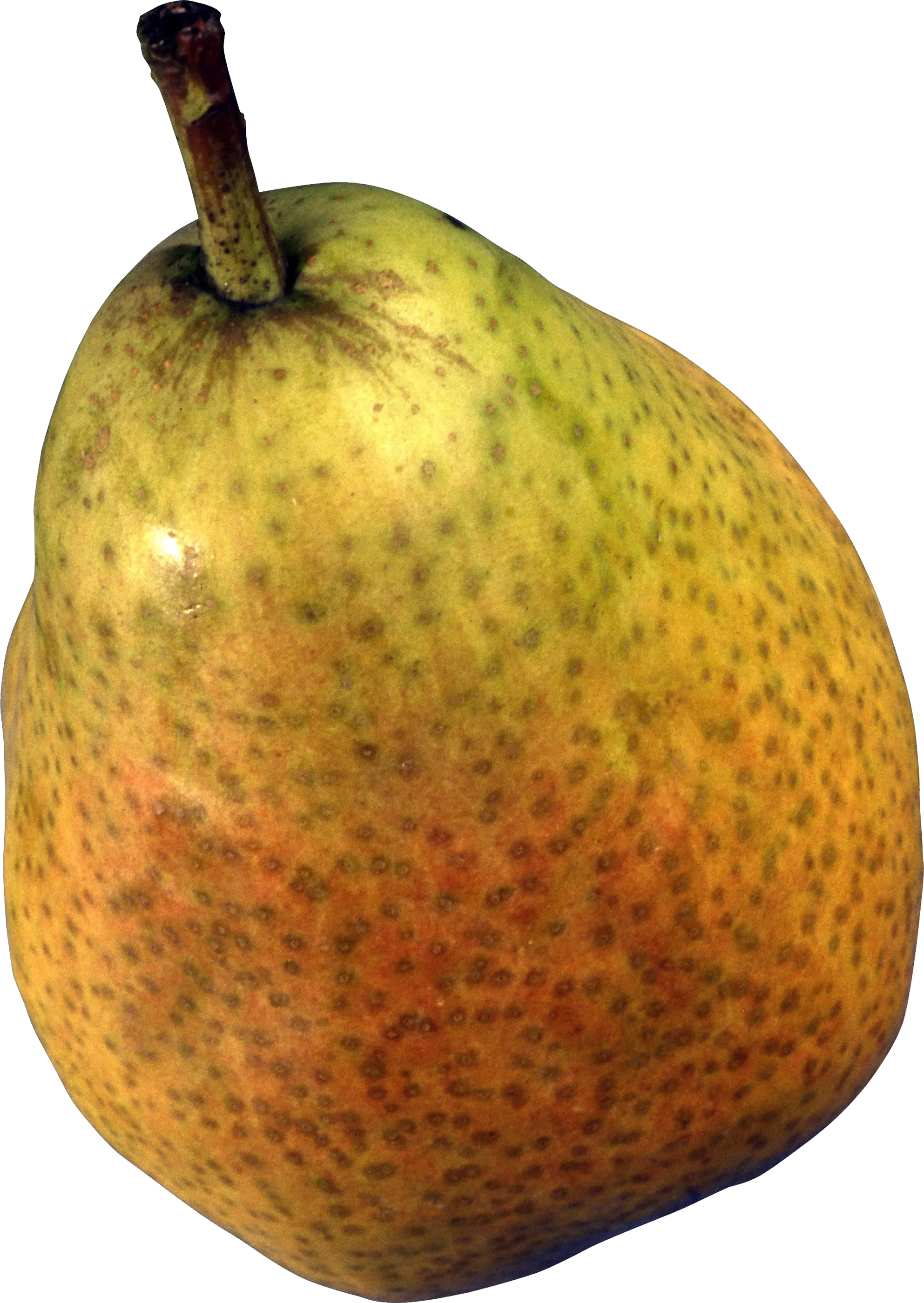 Pear PNG image
