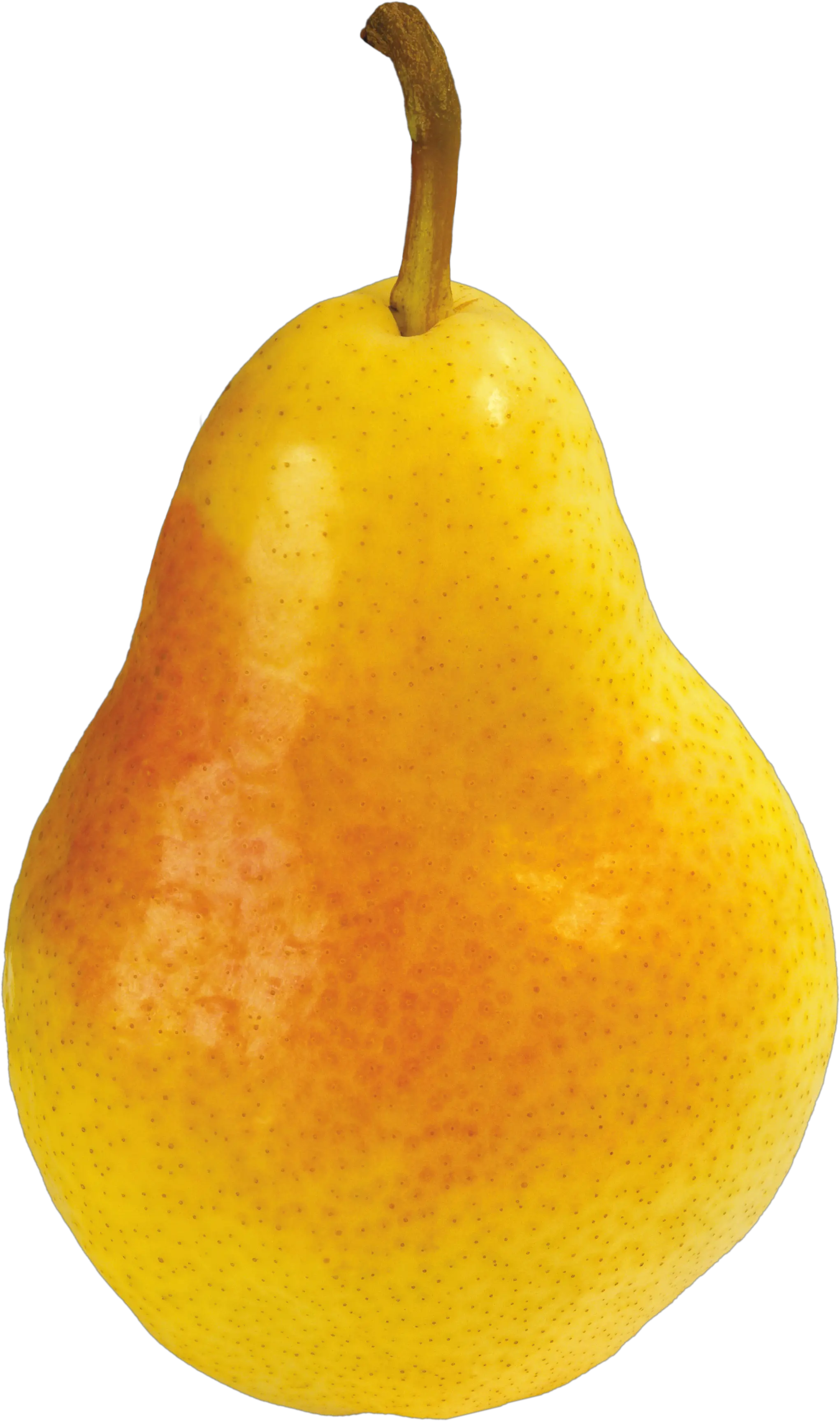 Pear PNG image