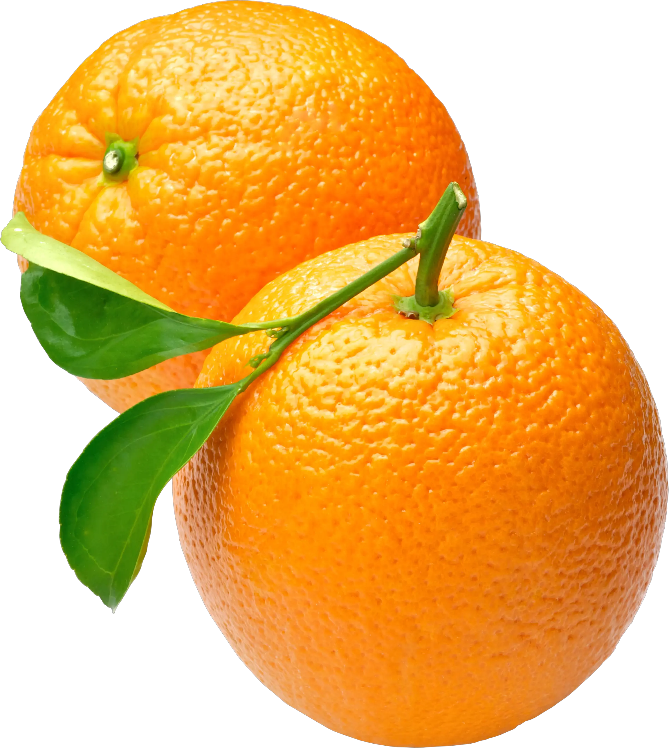two oranges PNG image