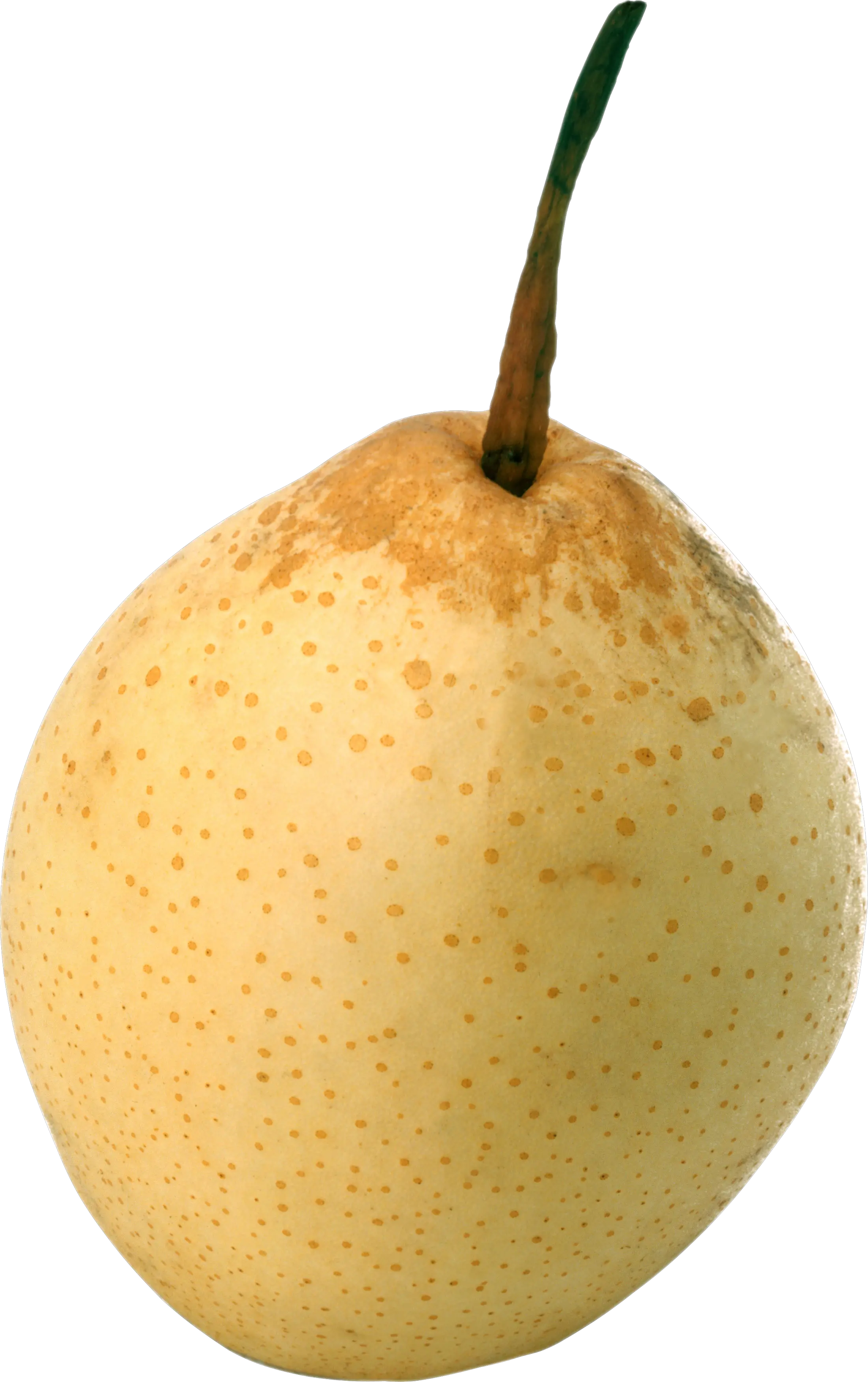 Ripe pear PNG image