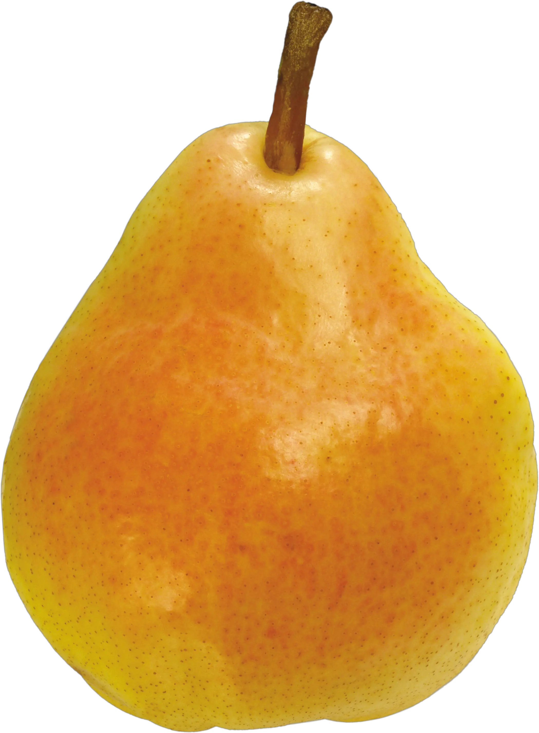 Ripe pear PNG image