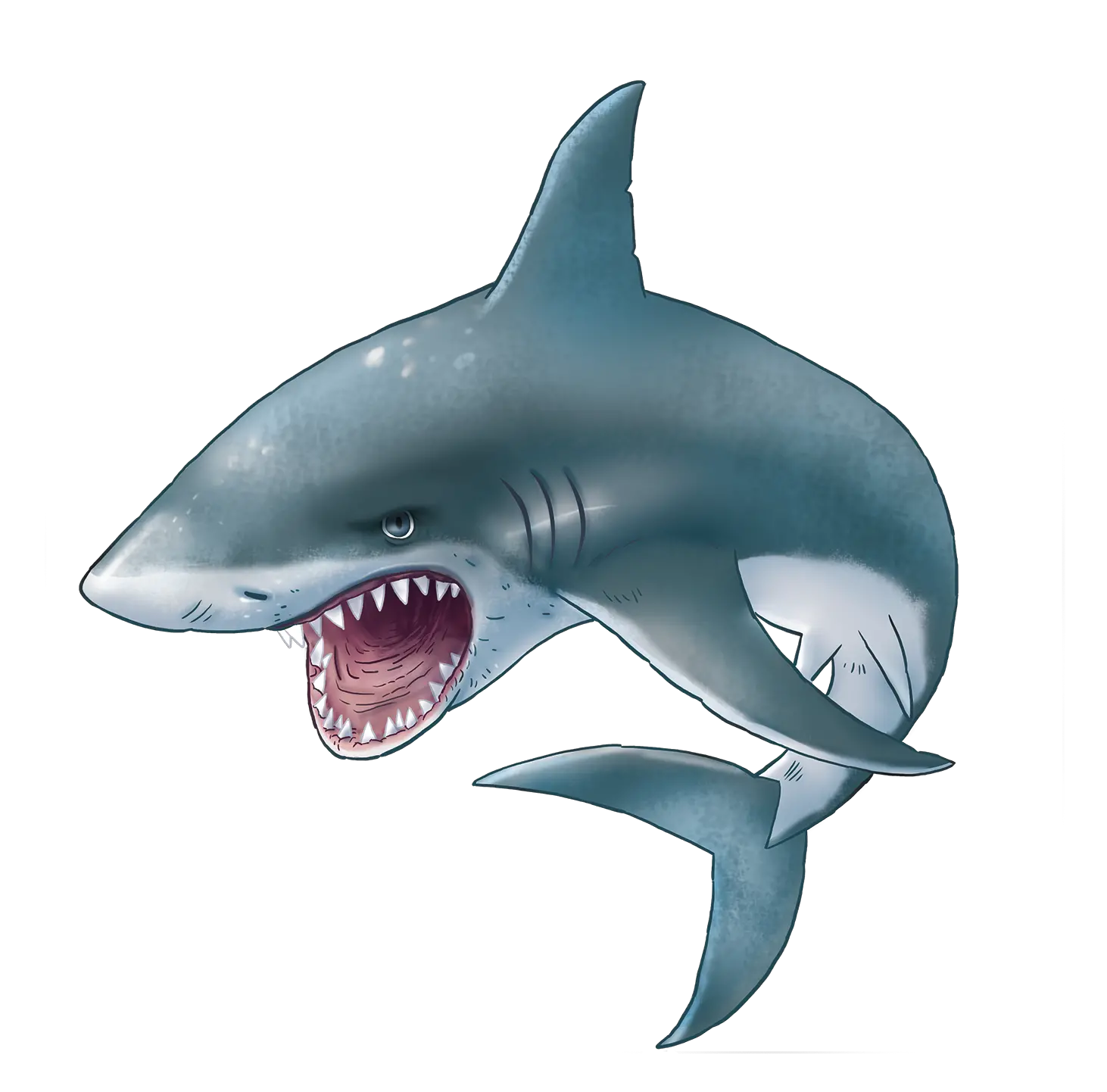 Shark PNG
