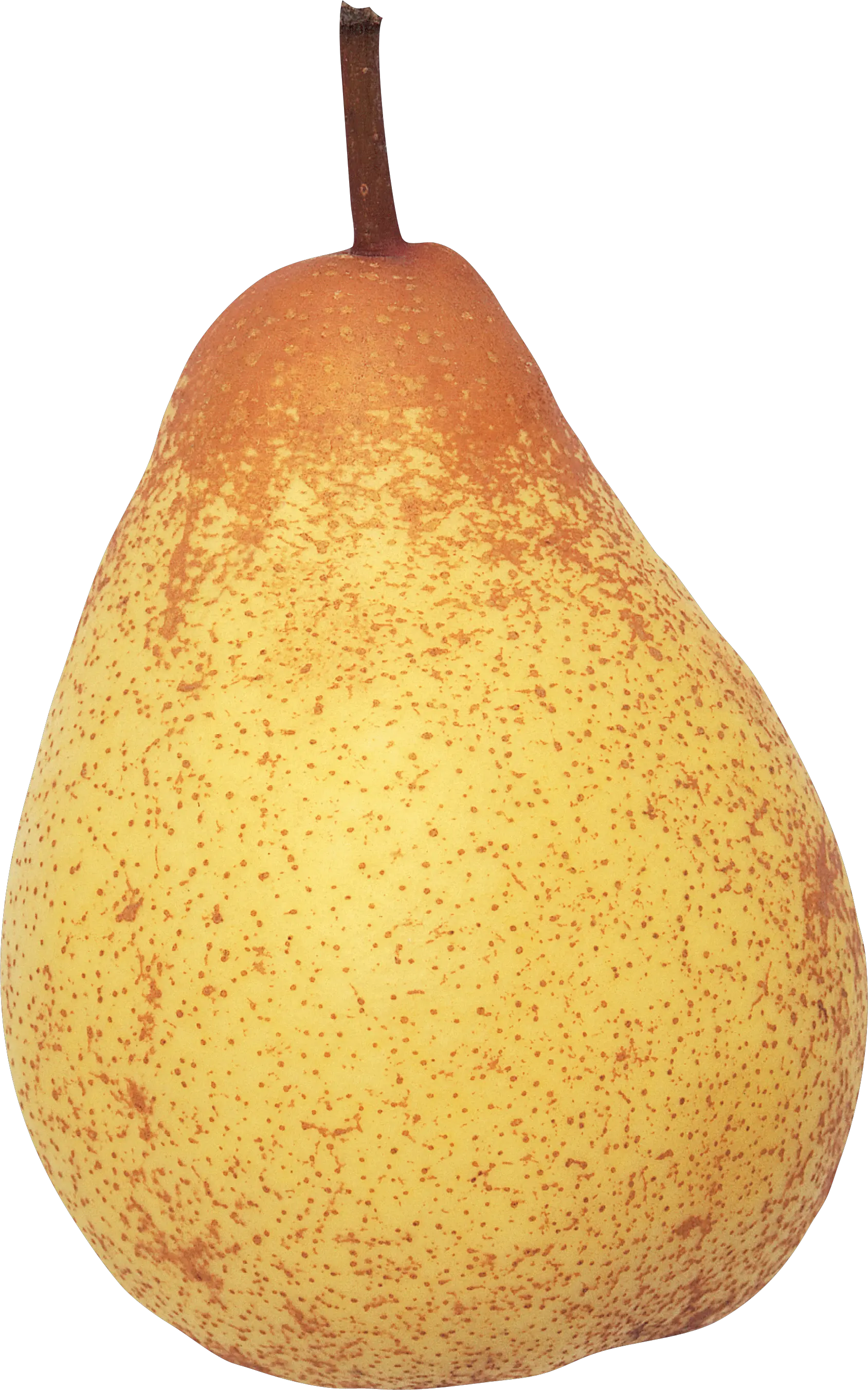 Pear PNG image