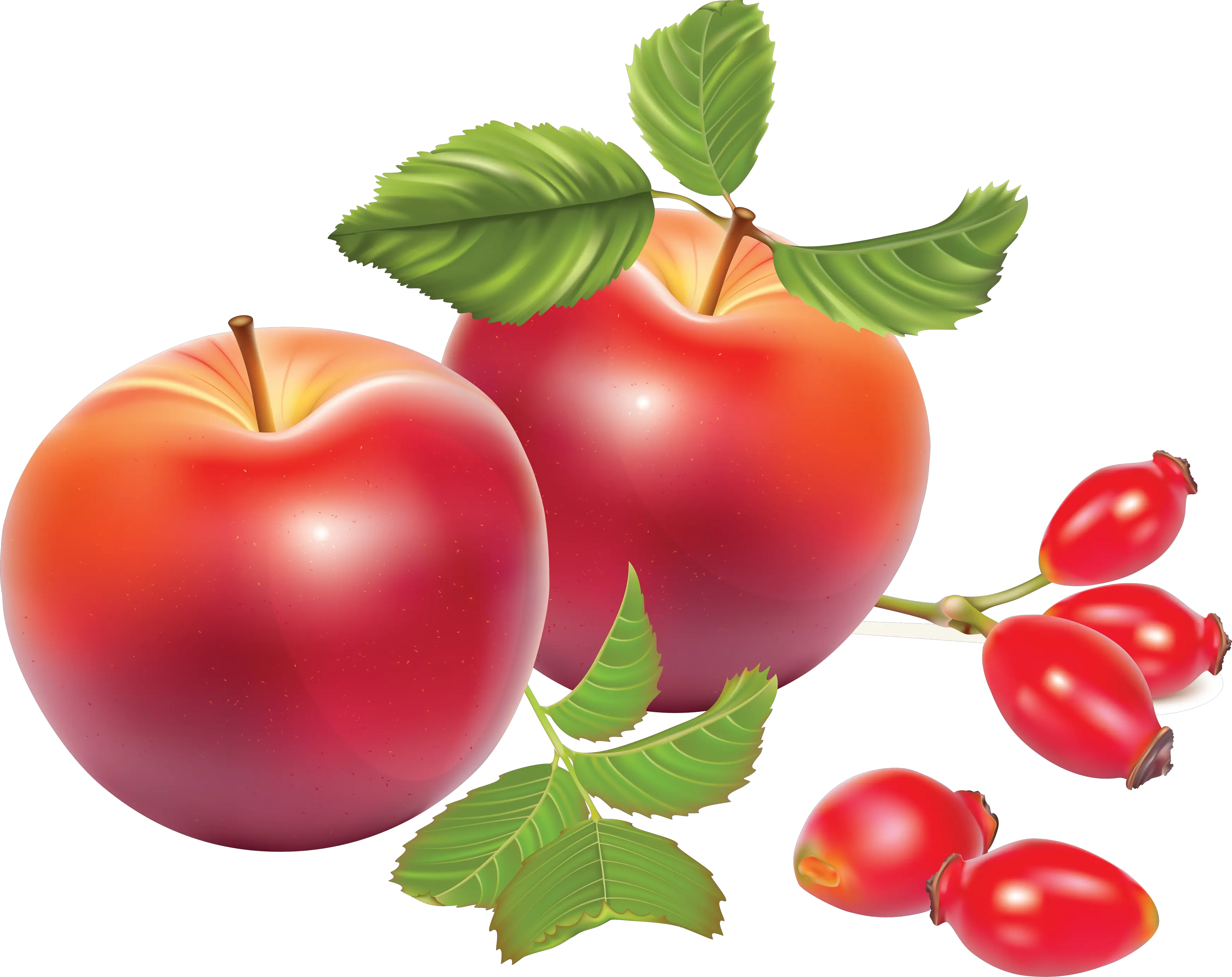 Apples PNG