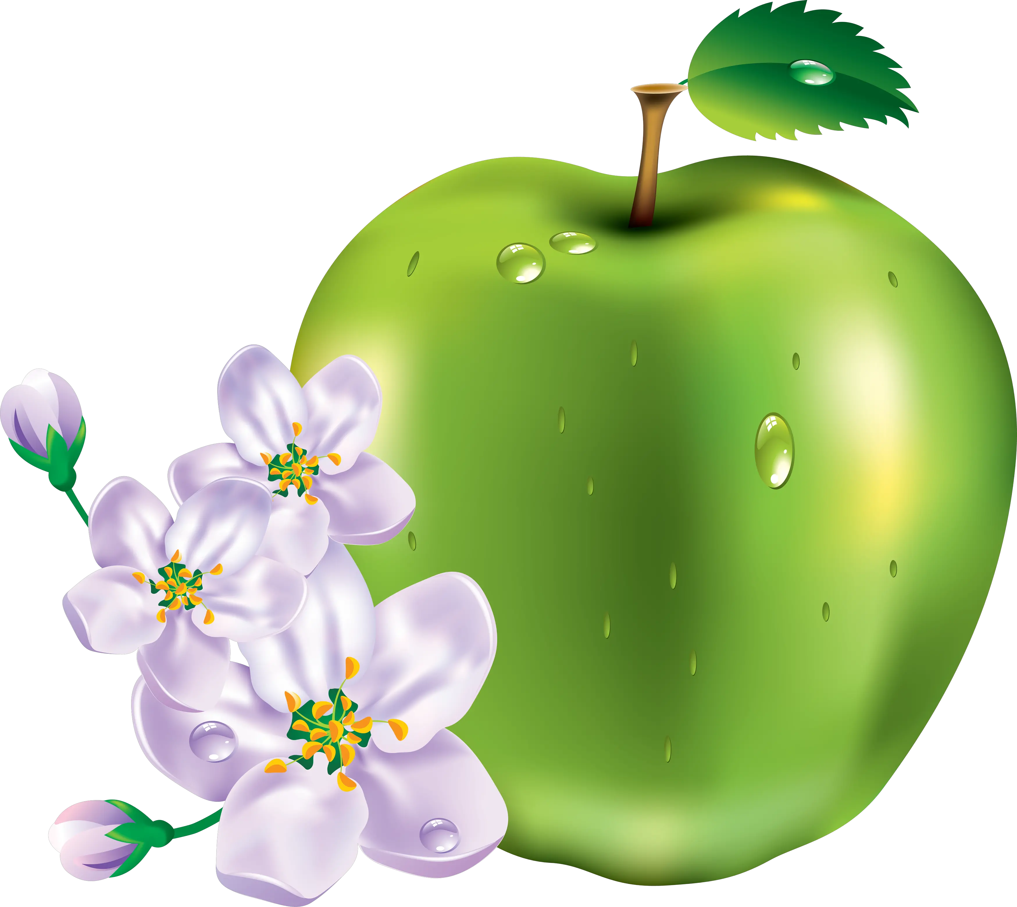 Apple with flowers PNG