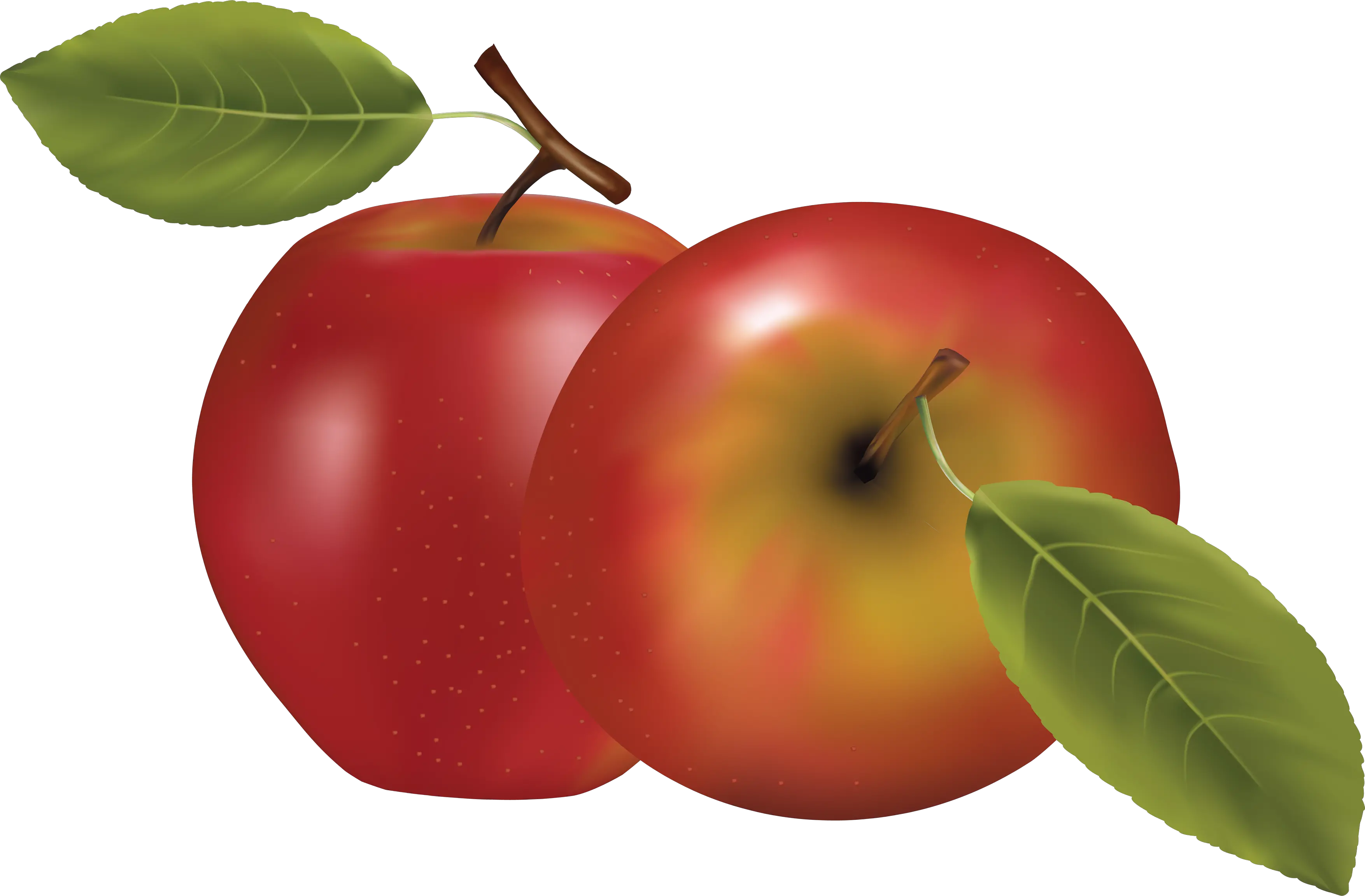 two red apples PNG