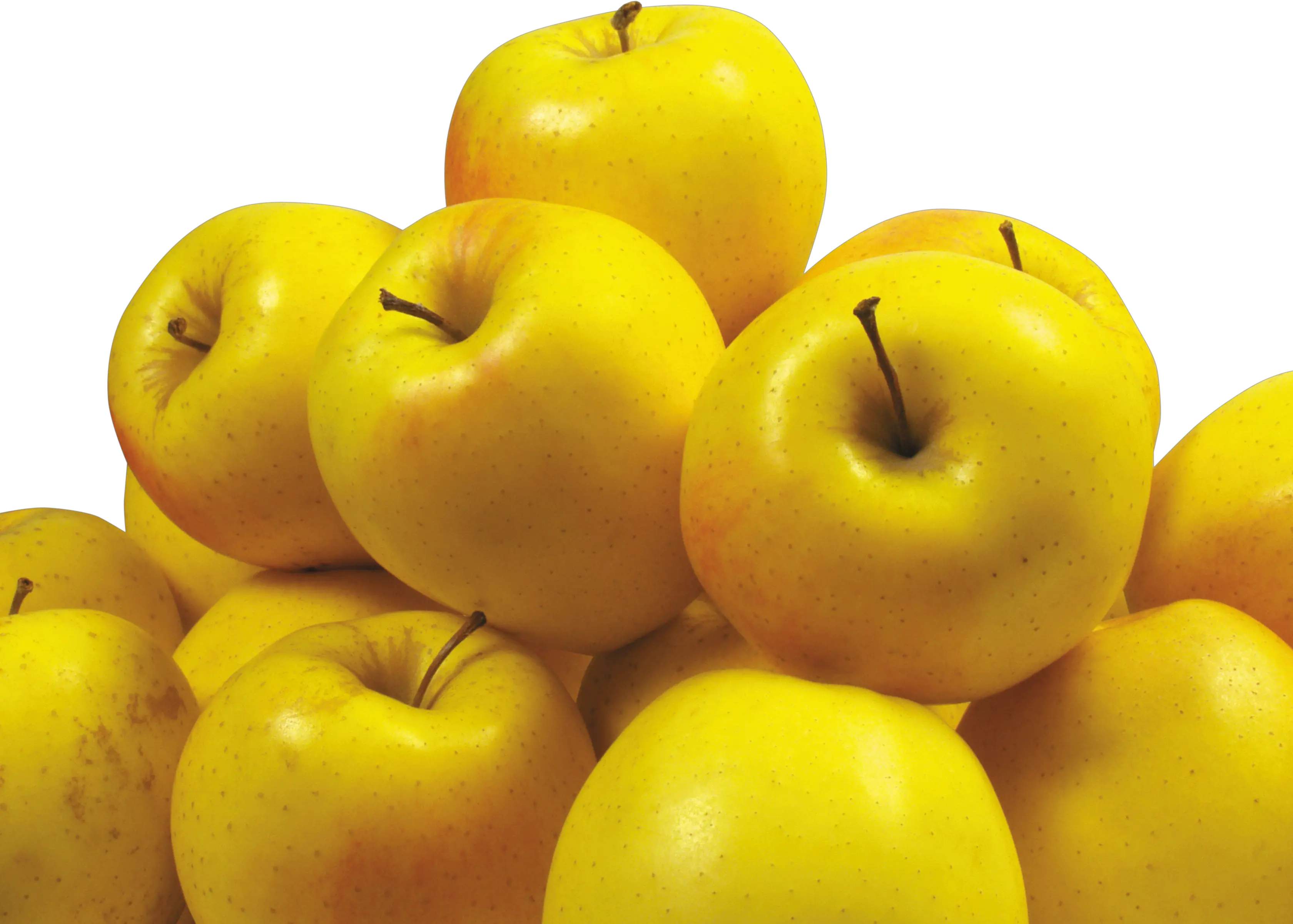 Many yellow apples PNG