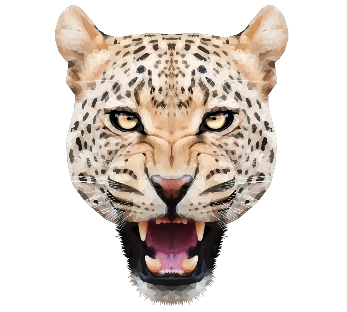 Leopard PNG