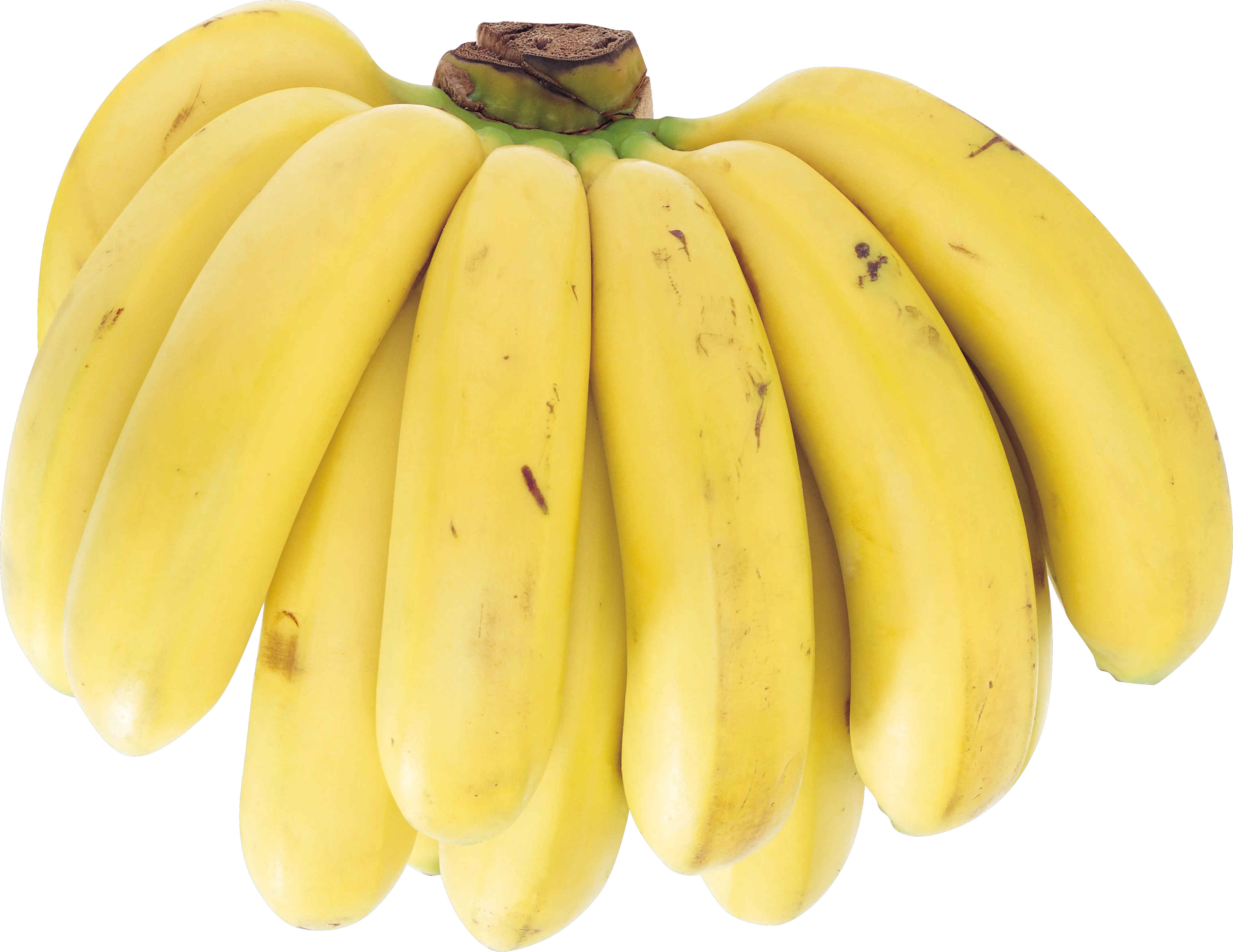 Several bananas PNG image