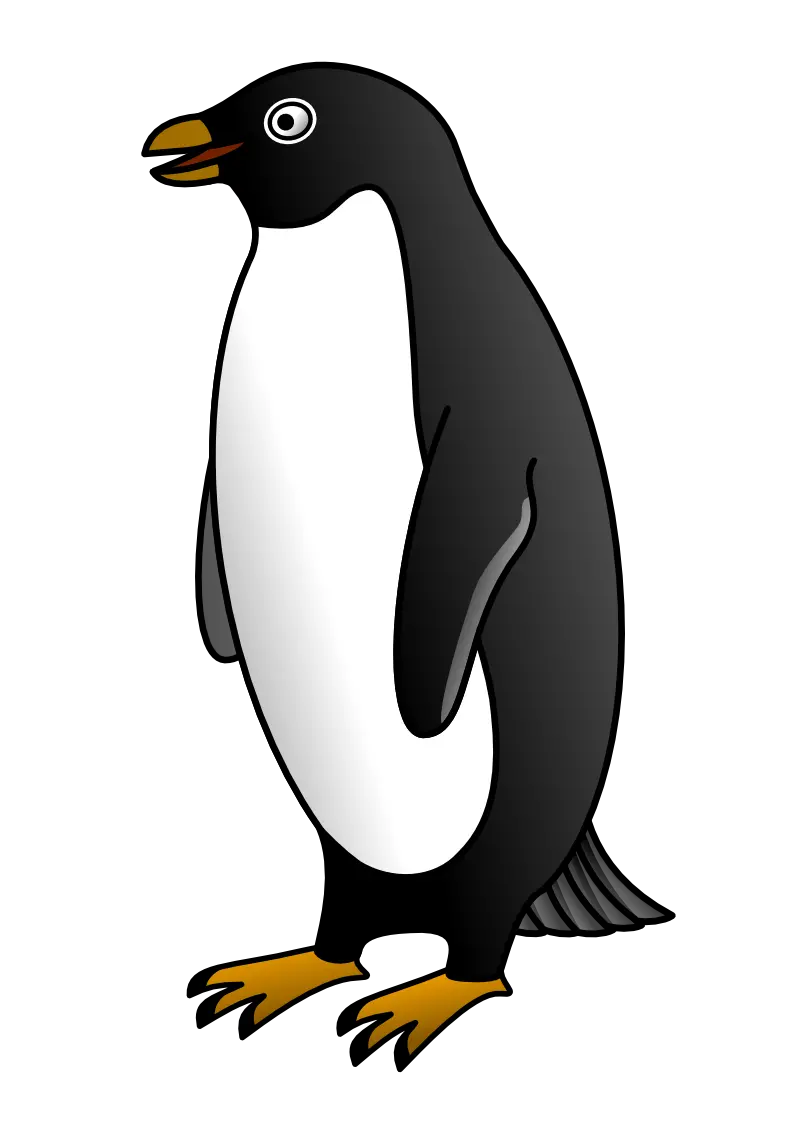 Penguin PNG image