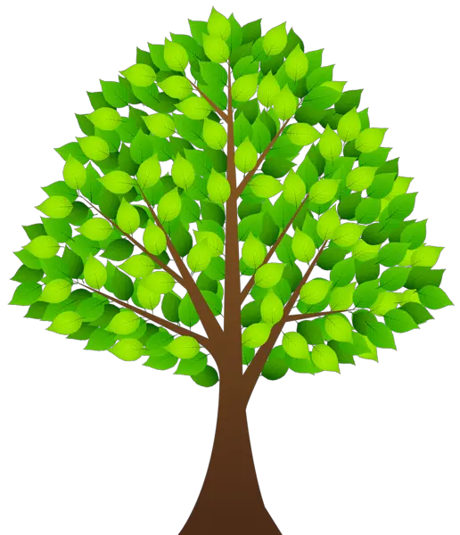 tree PNG