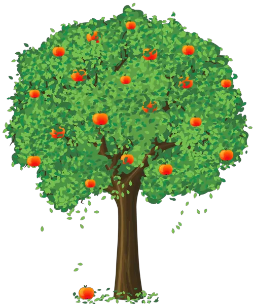 tree PNG