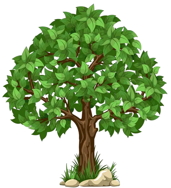 tree PNG