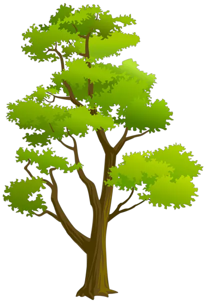 tree PNG