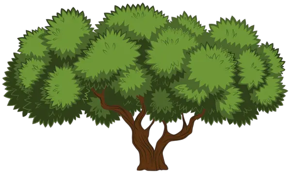 tree PNG