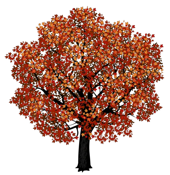 tree PNG