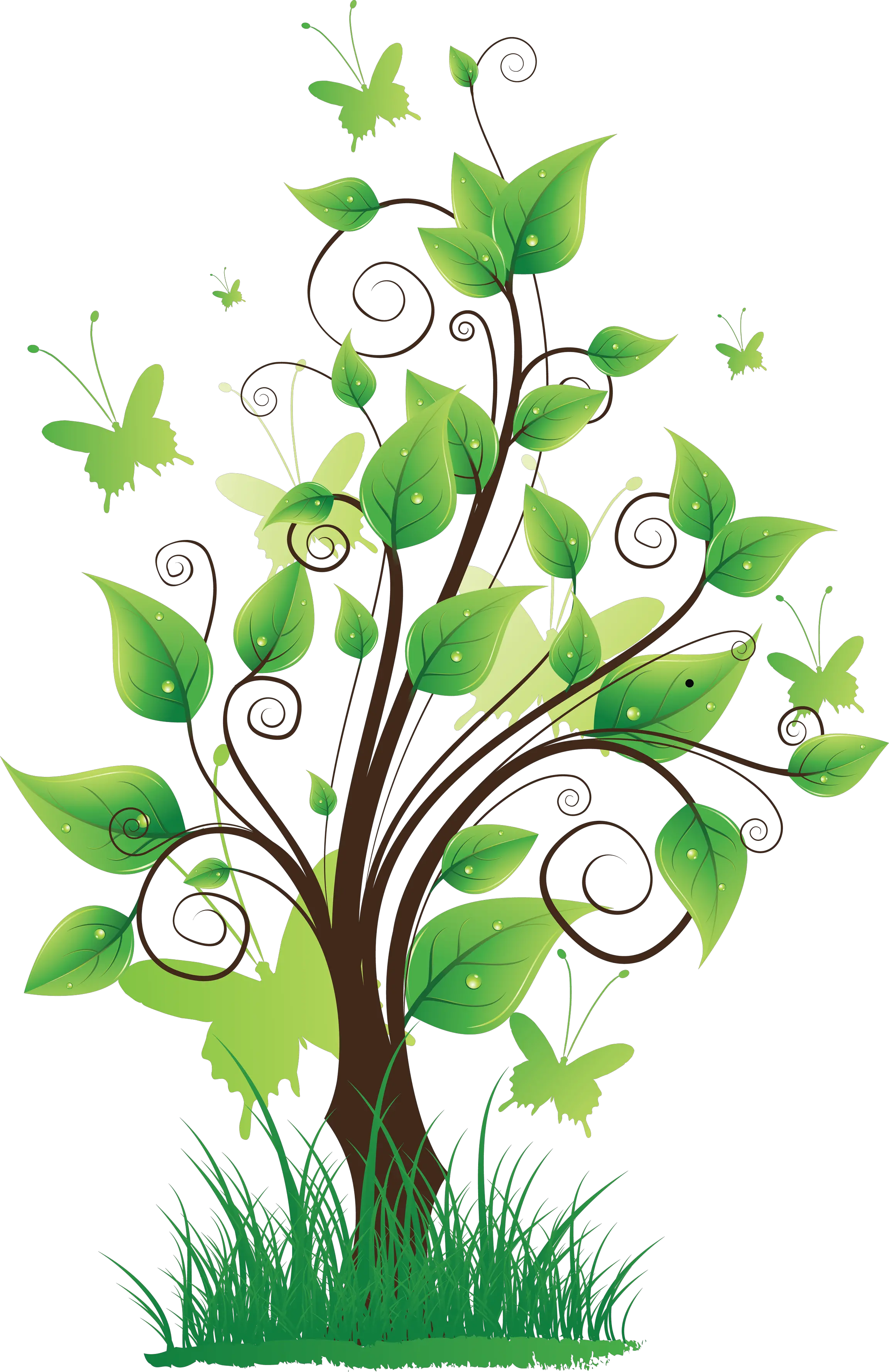 tree png image