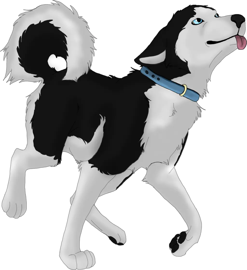 Husky PNG
