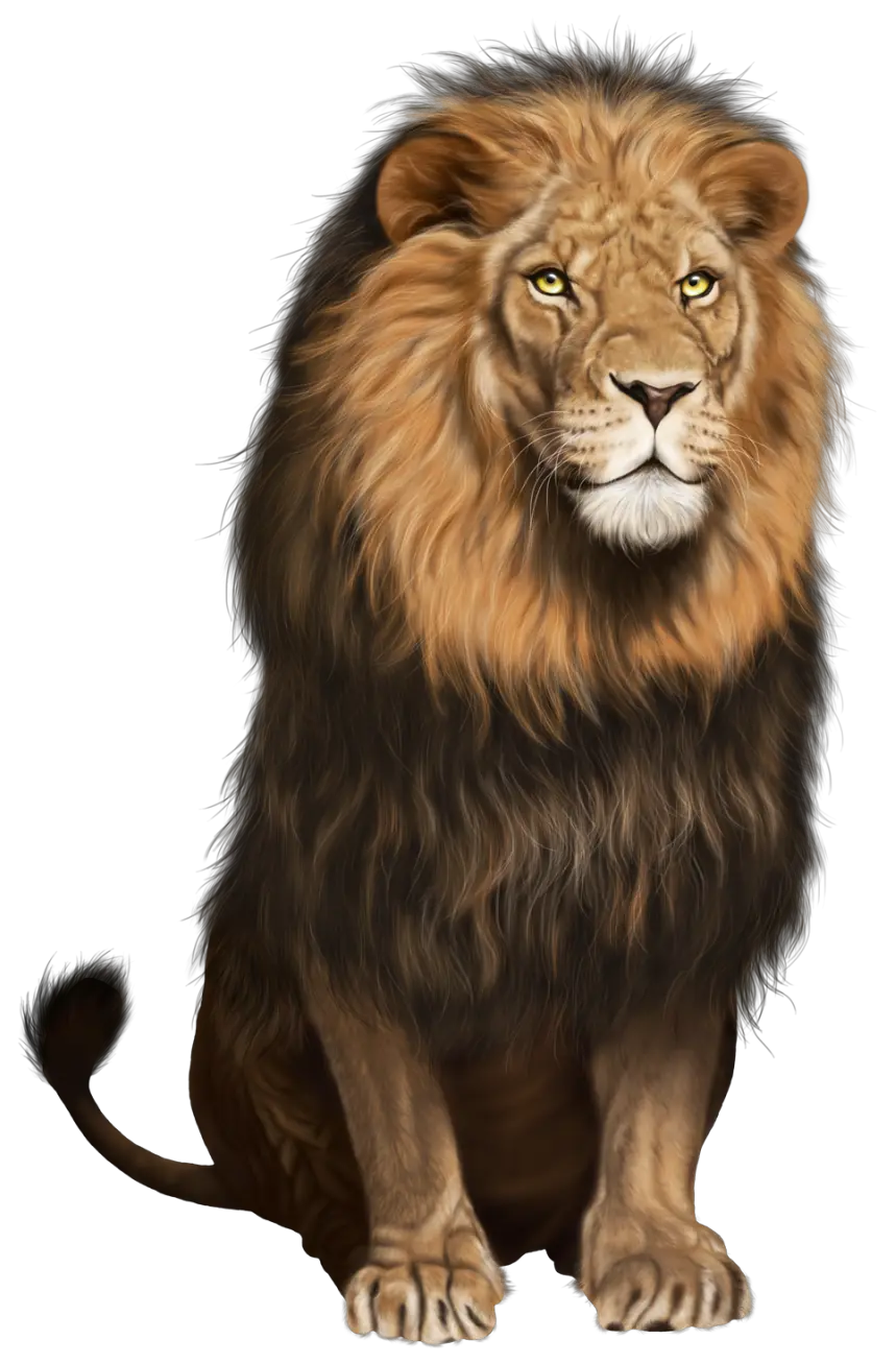 Lion PNG