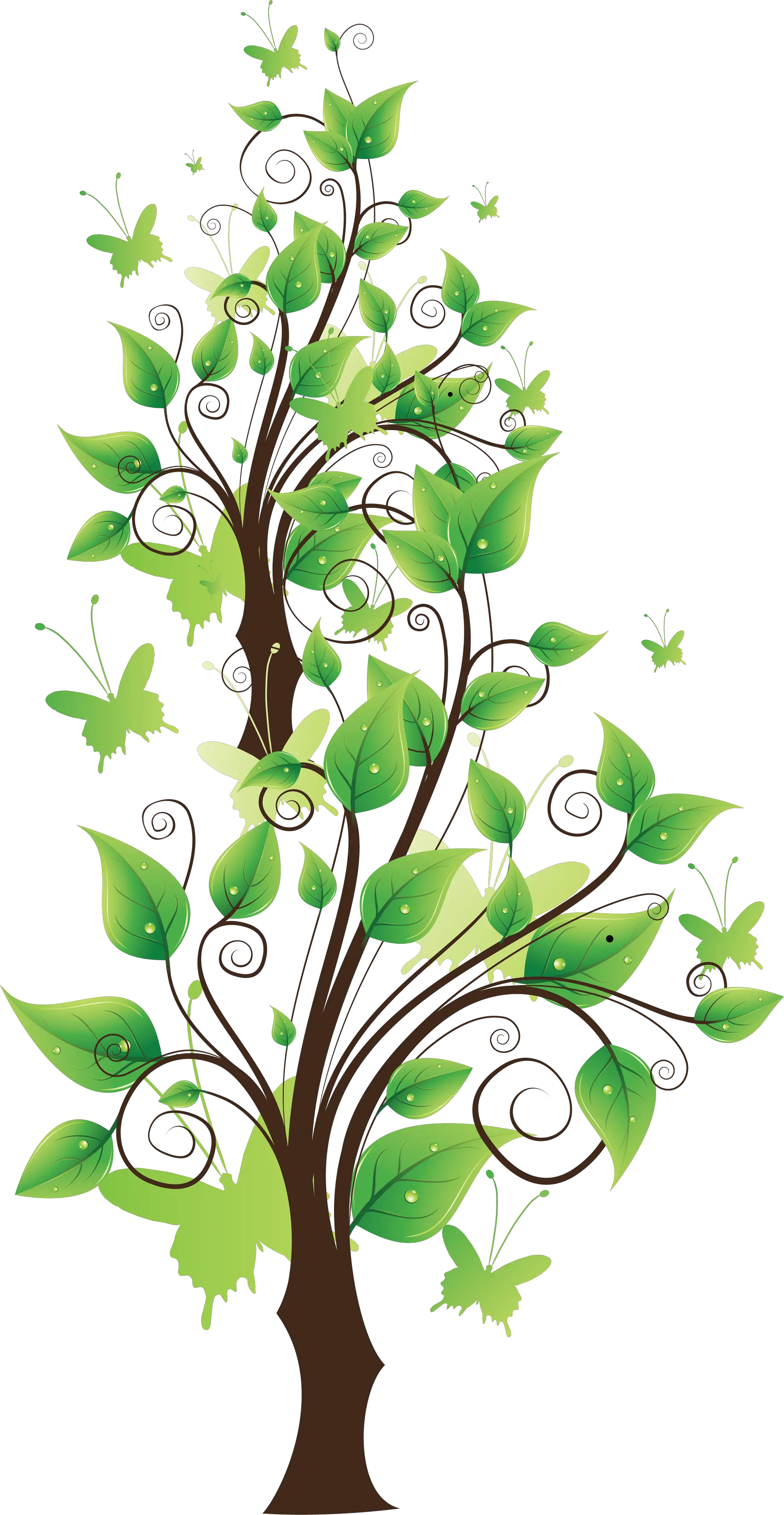 tree png image