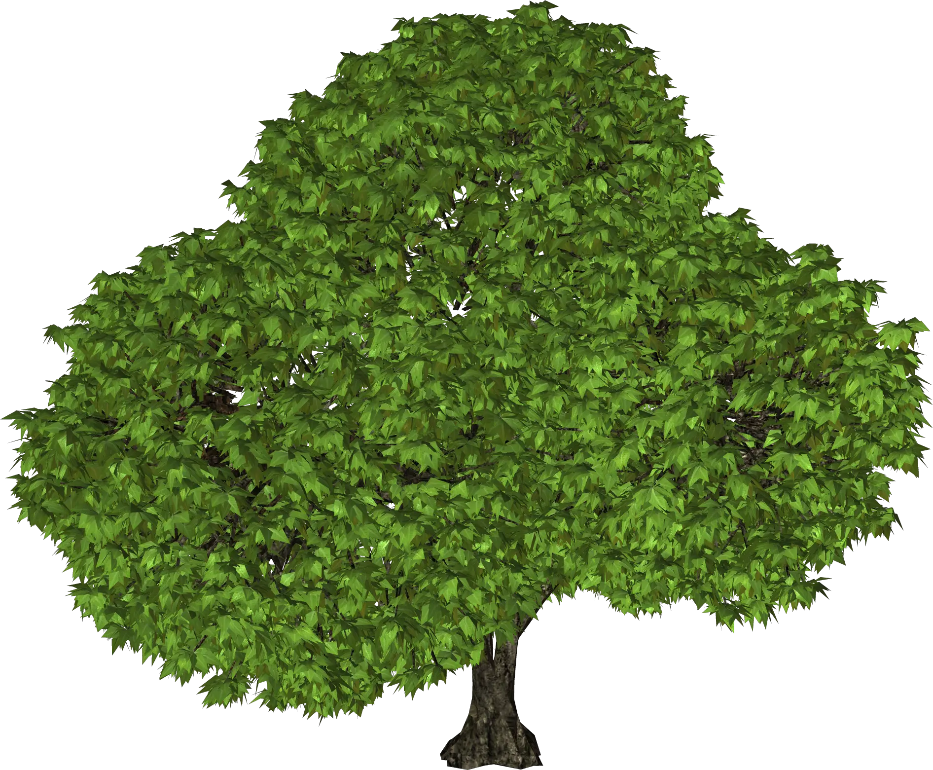 tree png image