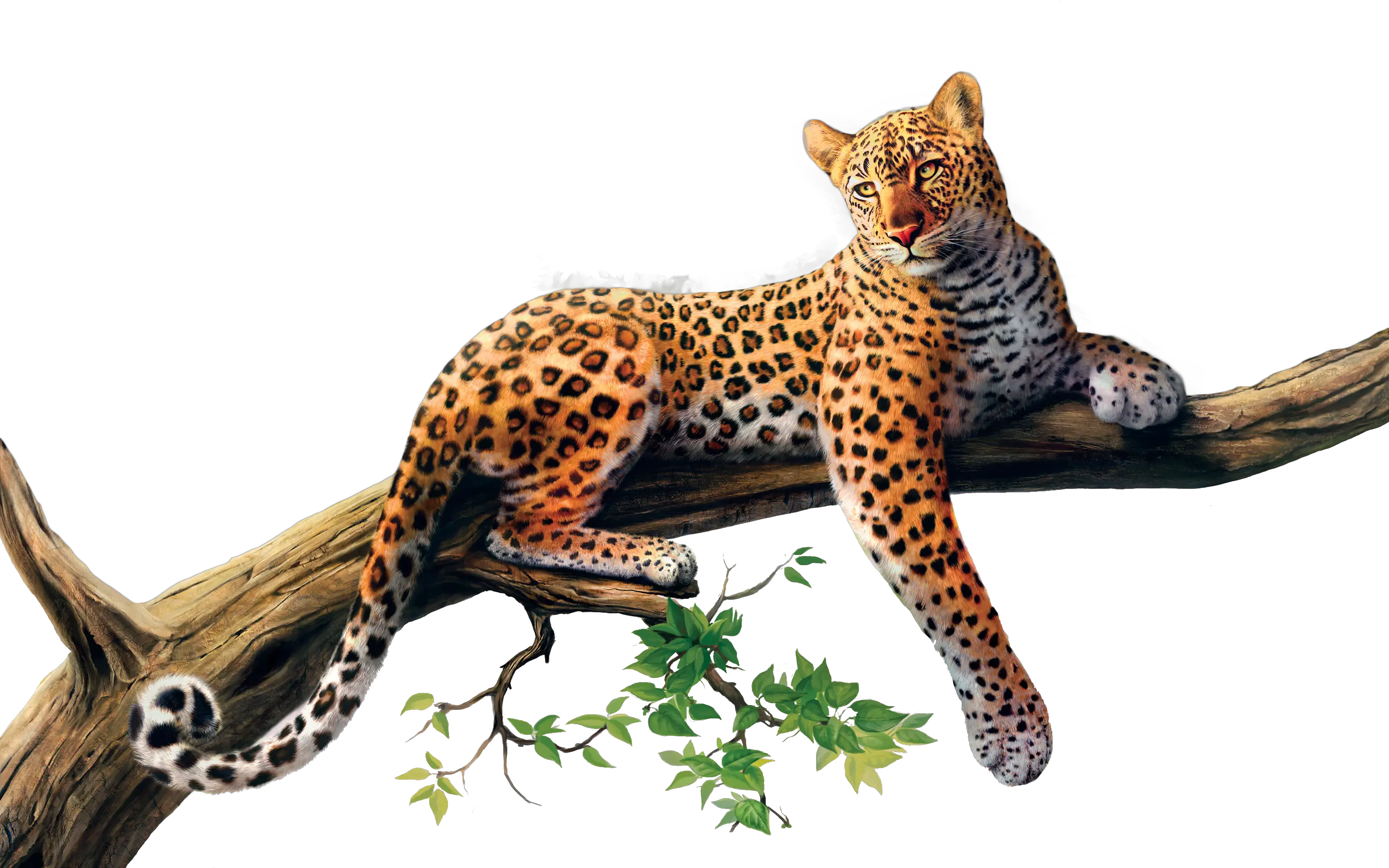 Jaguar PNG