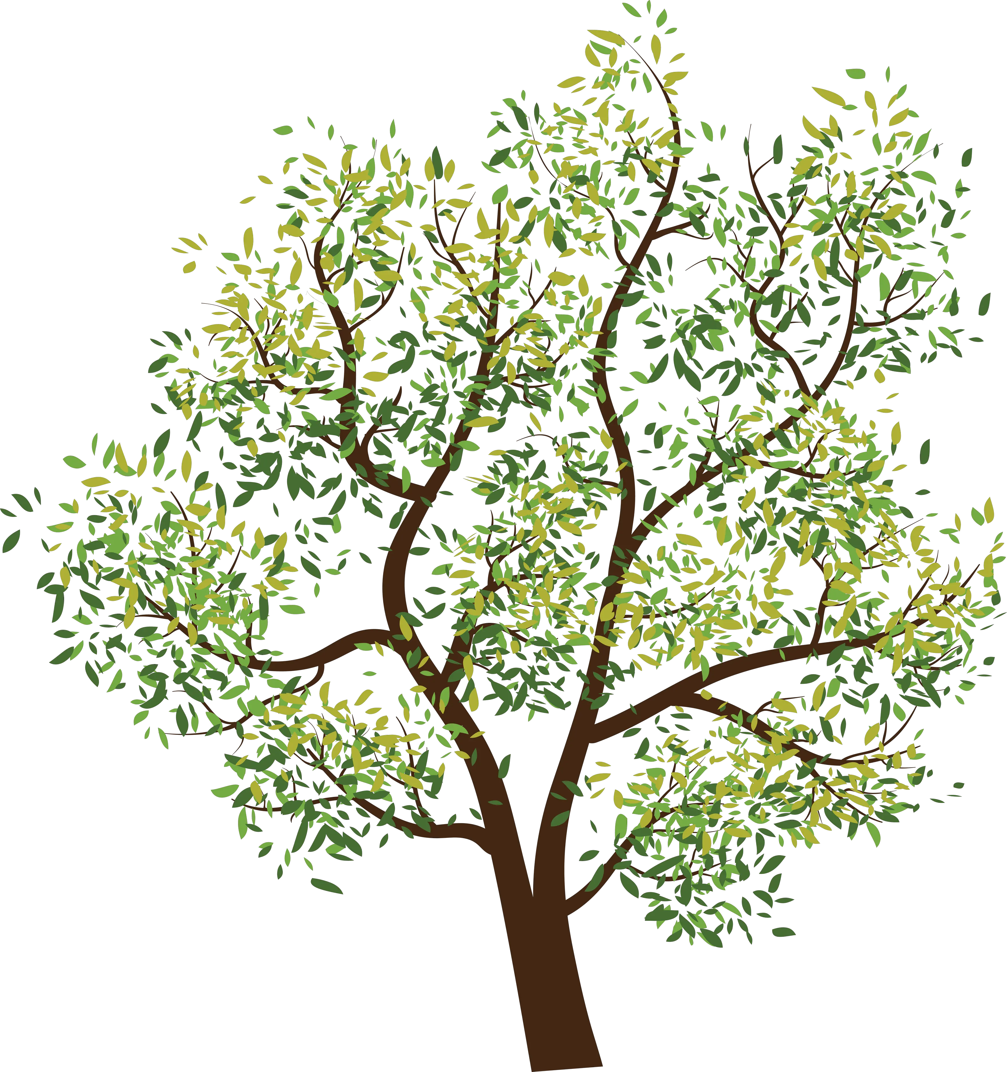 tree png image