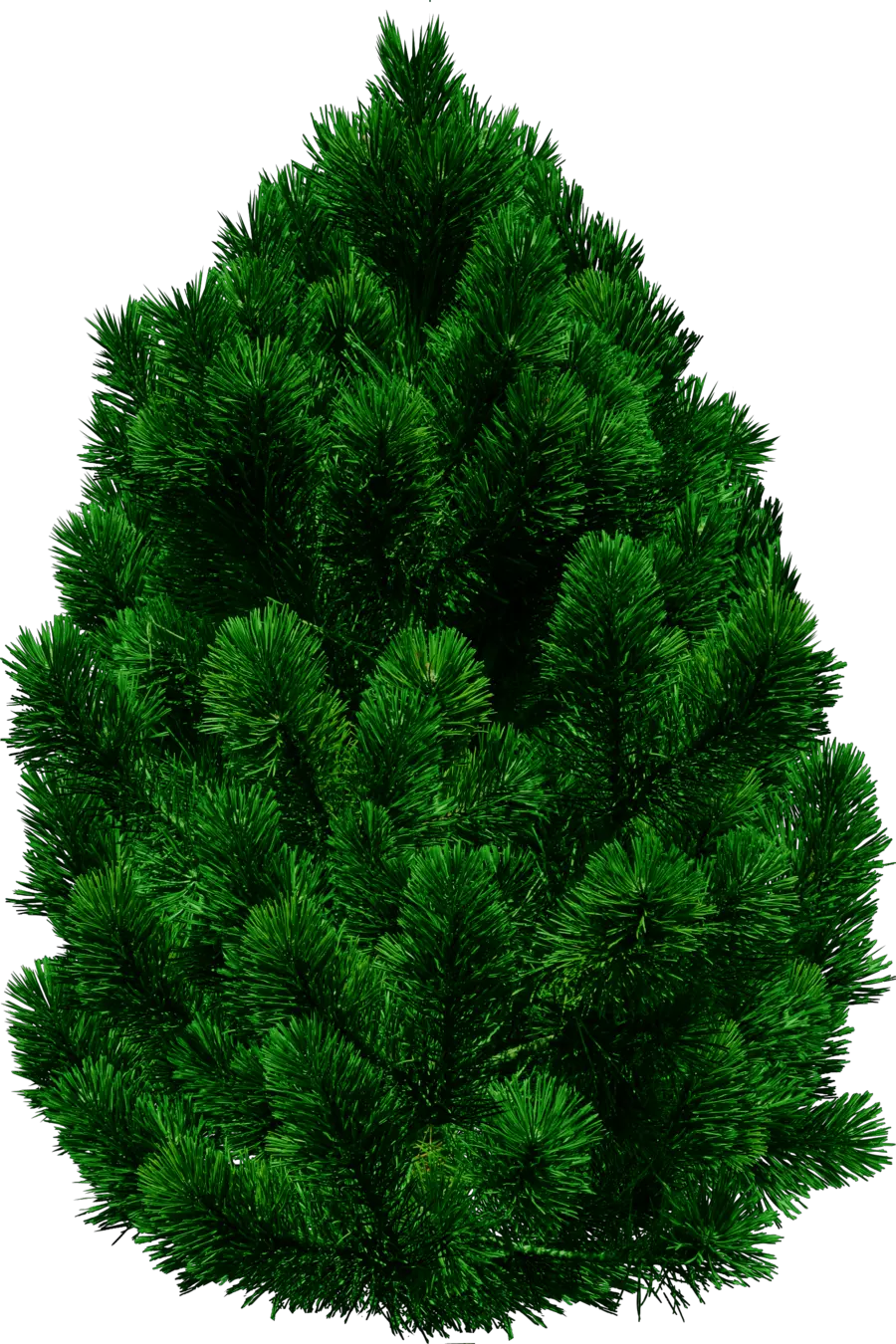 tree png image free download picture