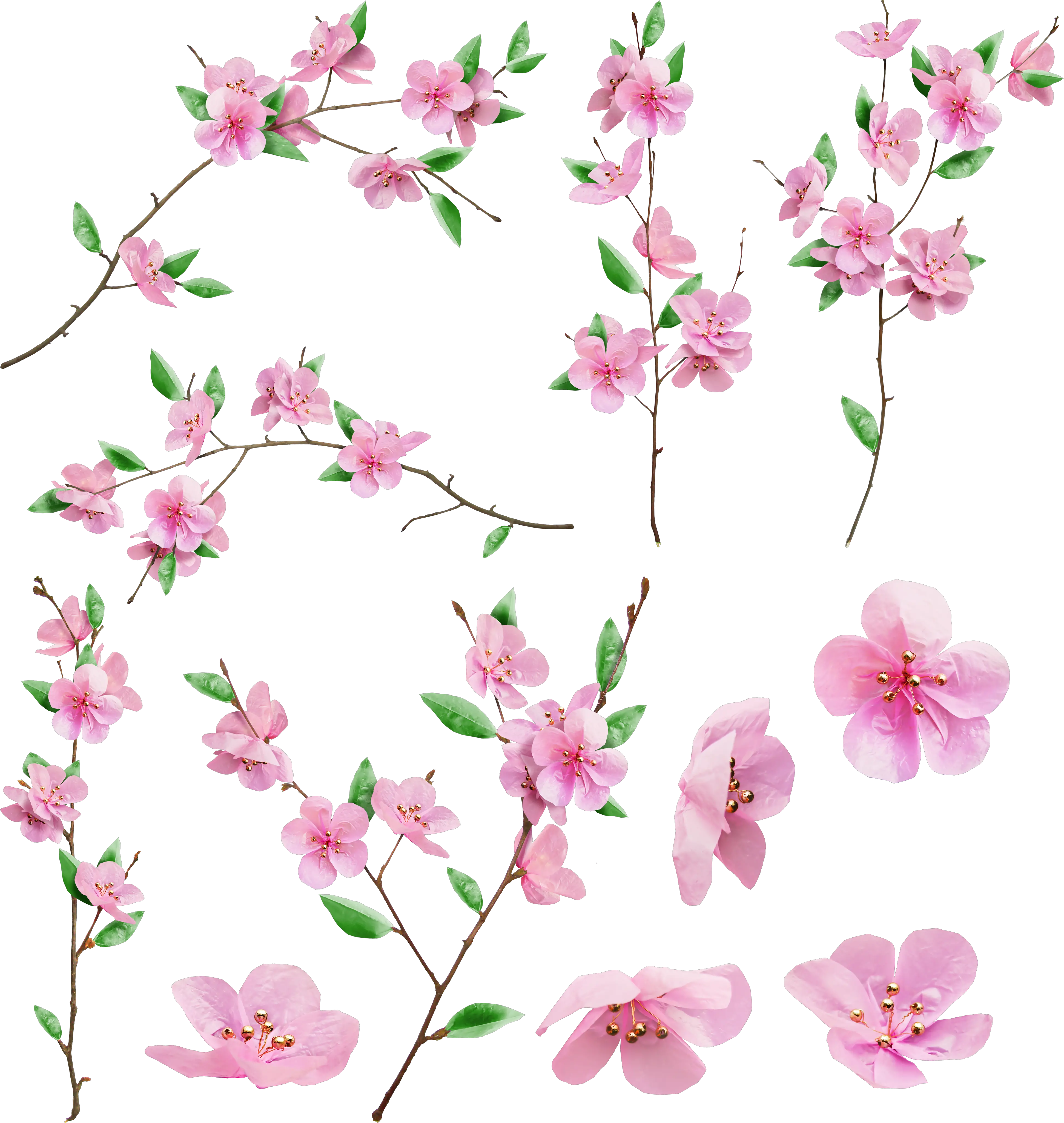Sakura PNG
