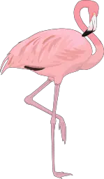 Flamingo PNG