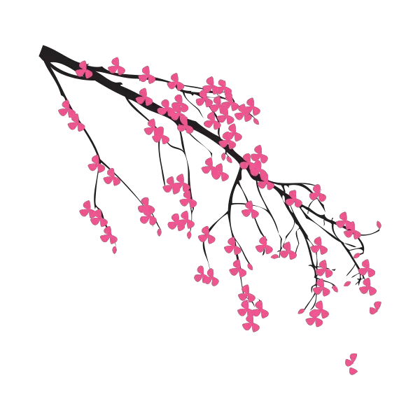 Sakura PNG