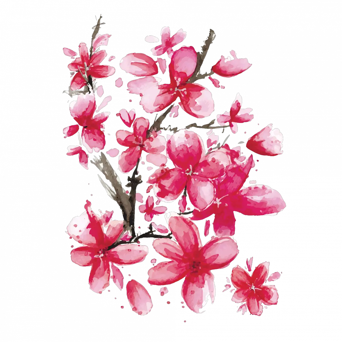 Sakura PNG