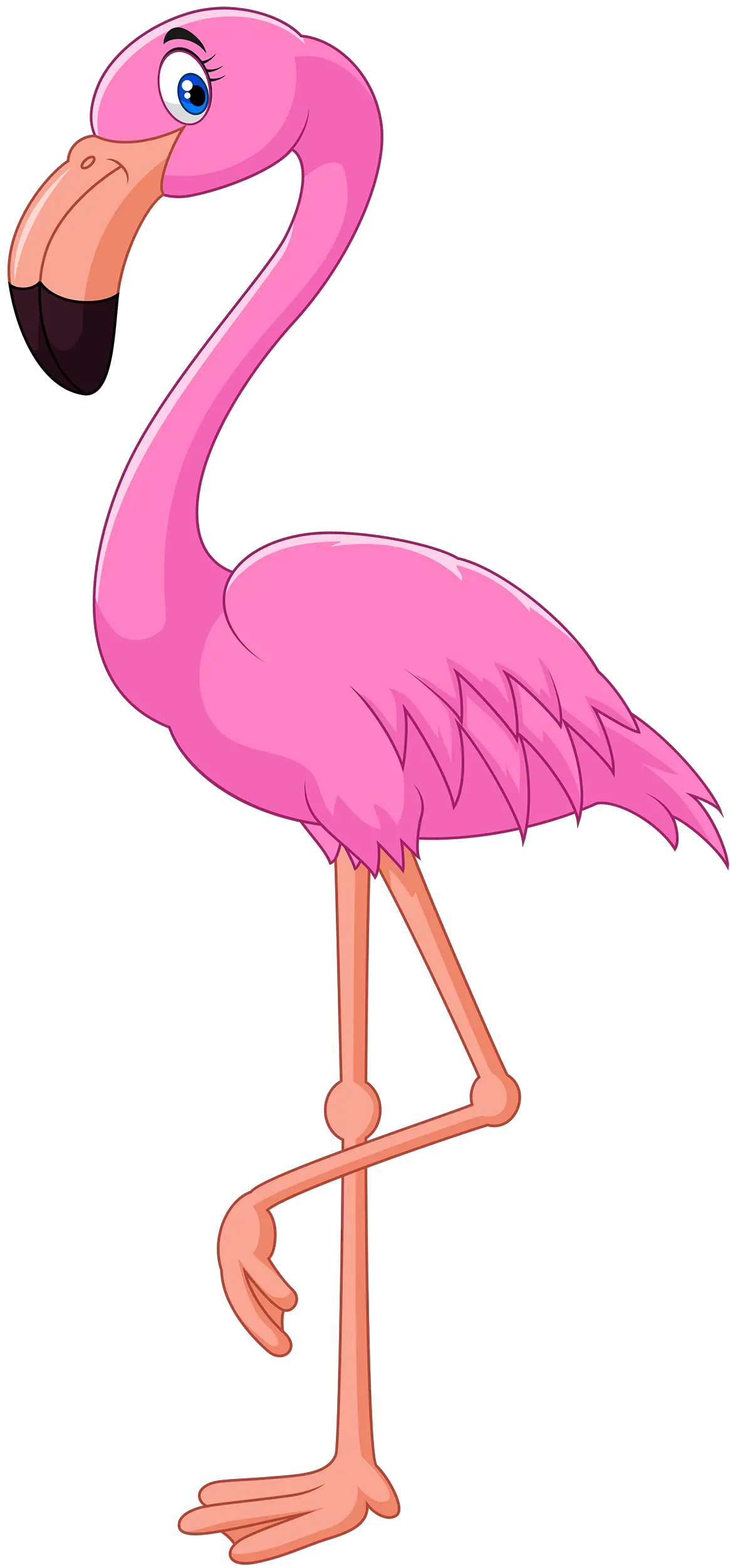 Flamingo PNG
