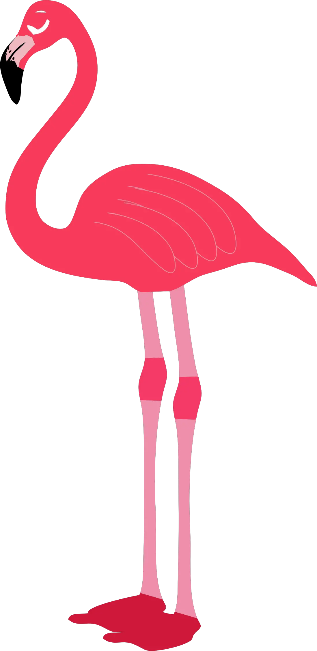 Flamingo PNG