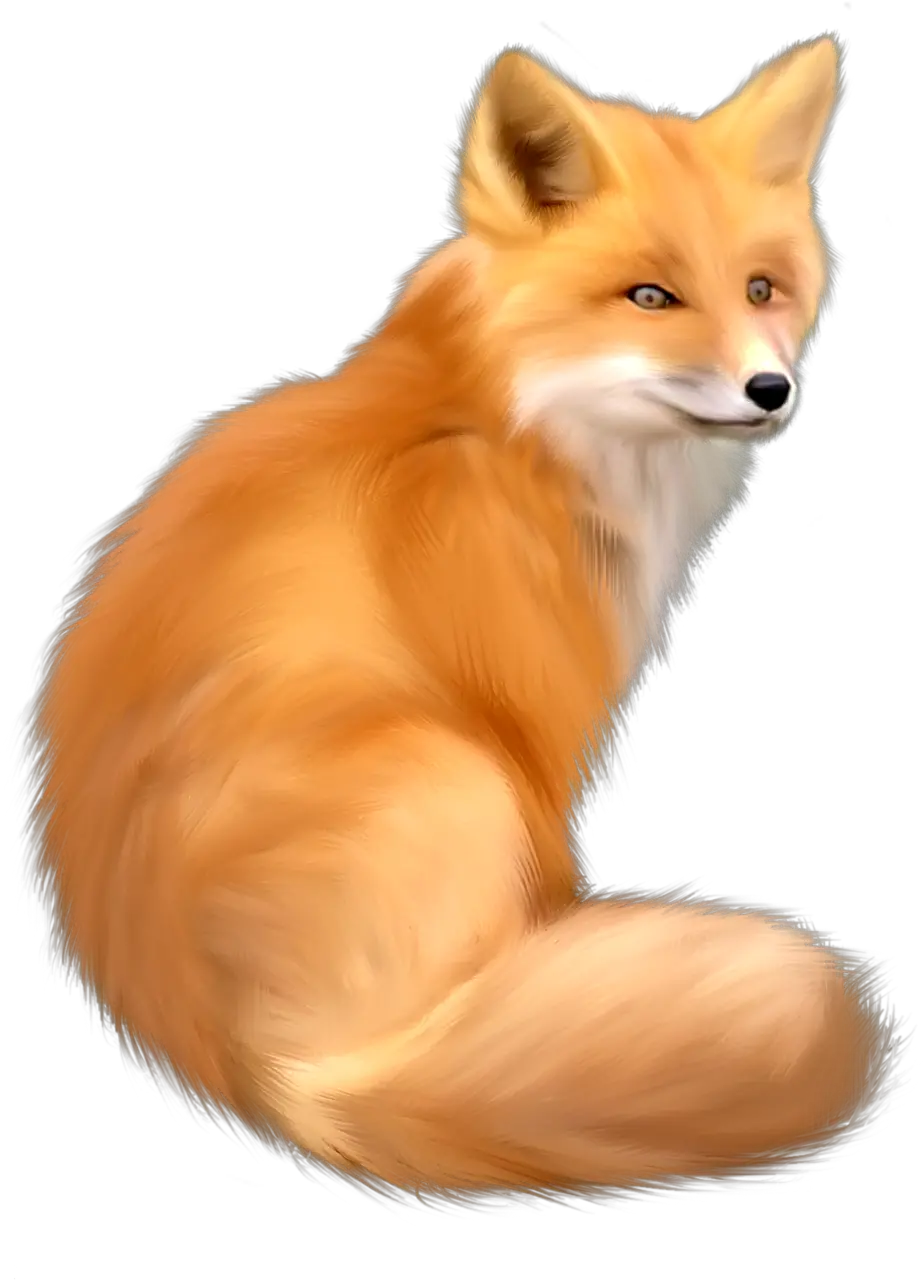 fox png image free download picture
