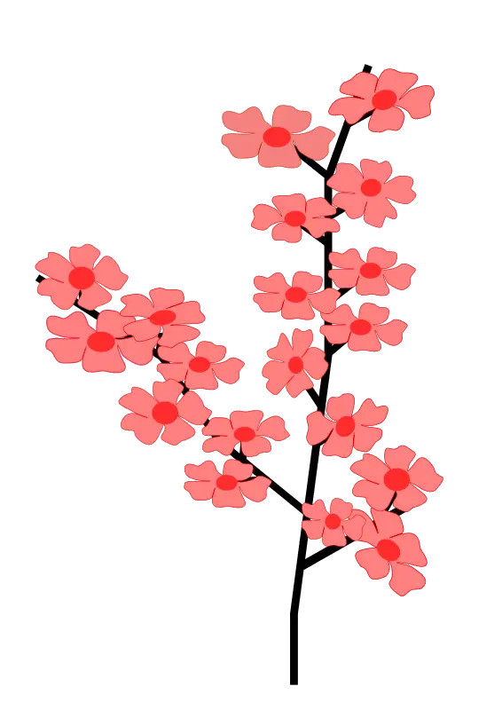 Sakura PNG