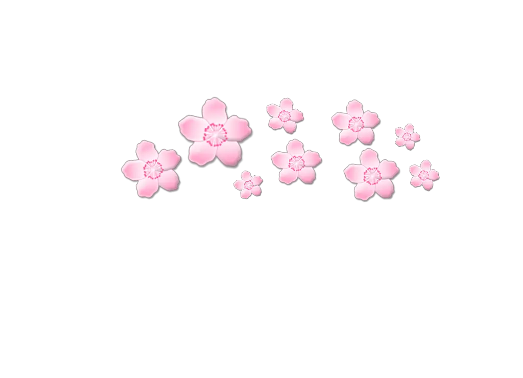 Sakura PNG