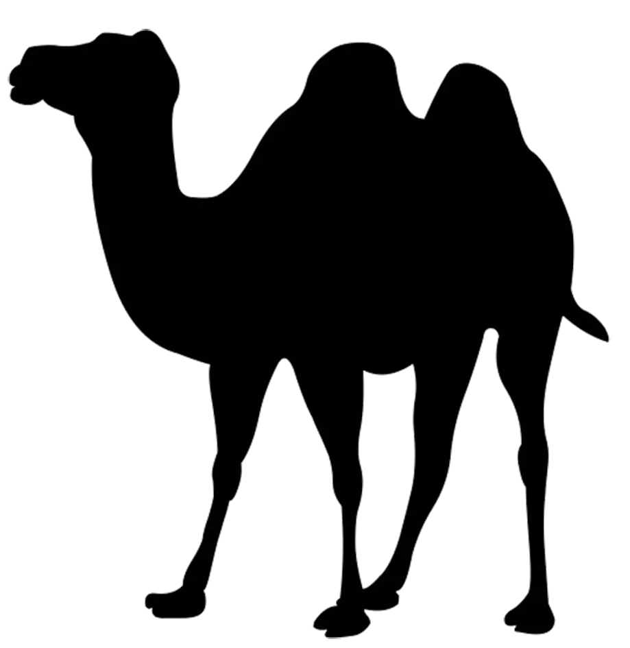 Camel PNG